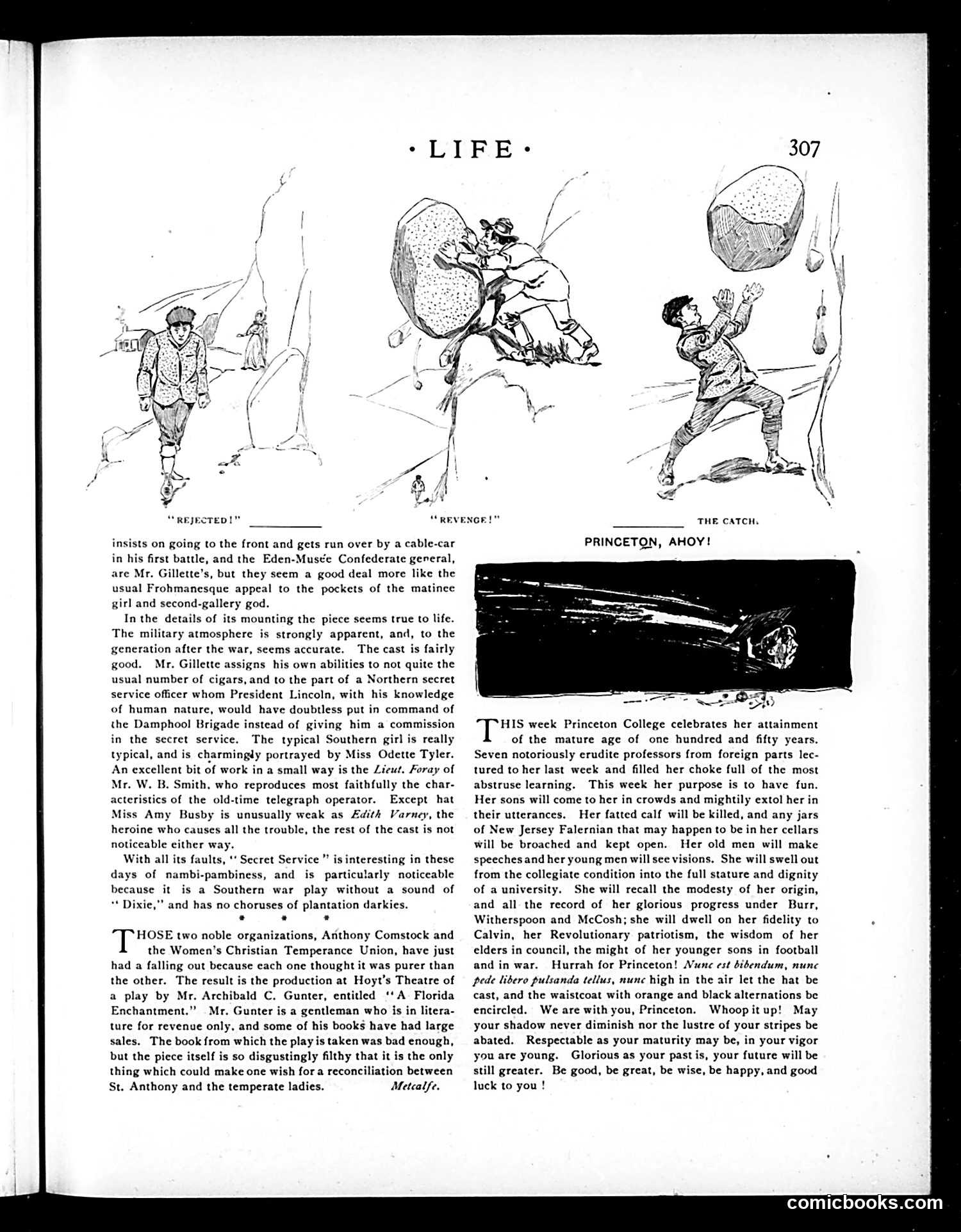 Life — October 22, 1896 — page 11 of 26