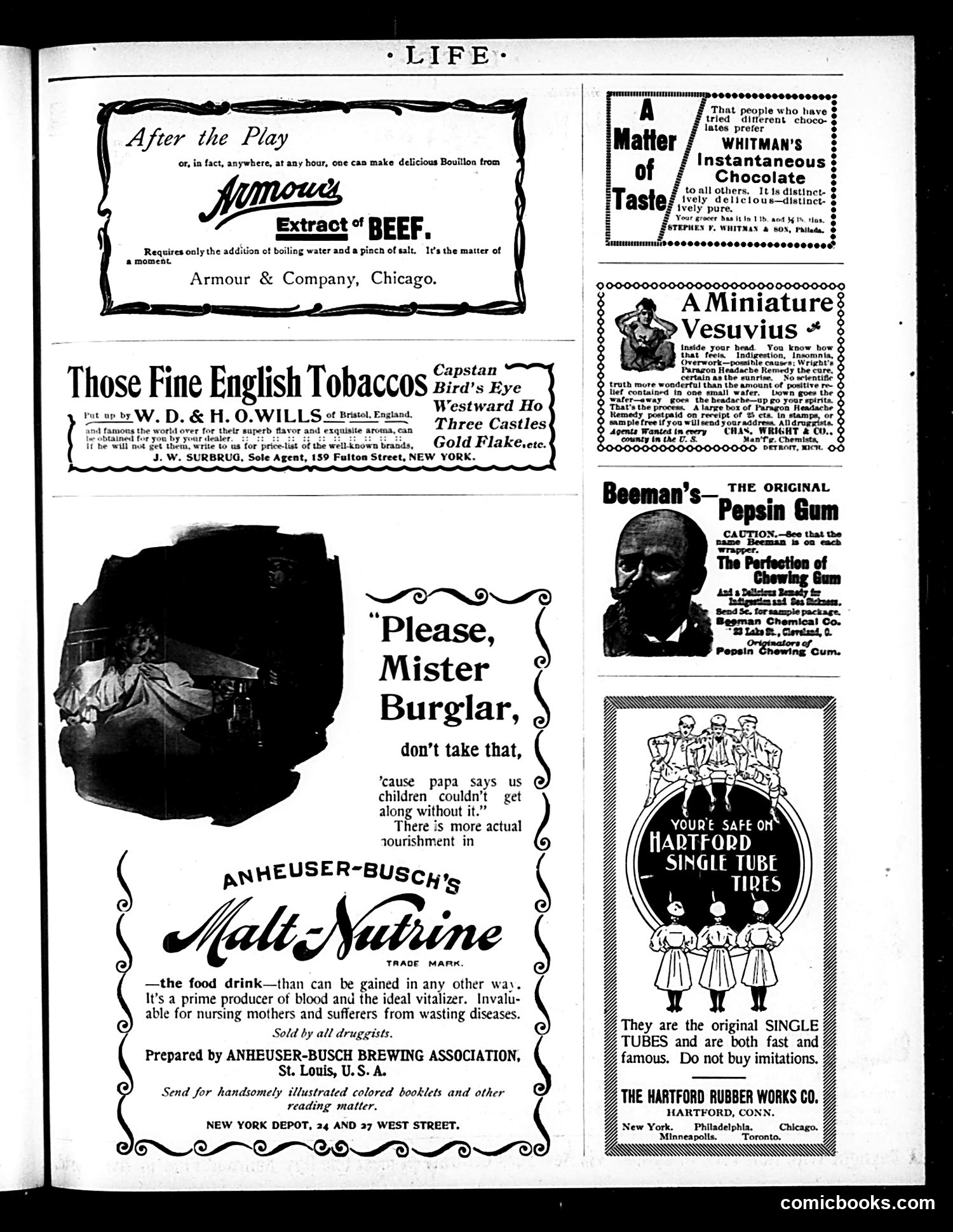 Life — October 22, 1896 — page 13 of 26