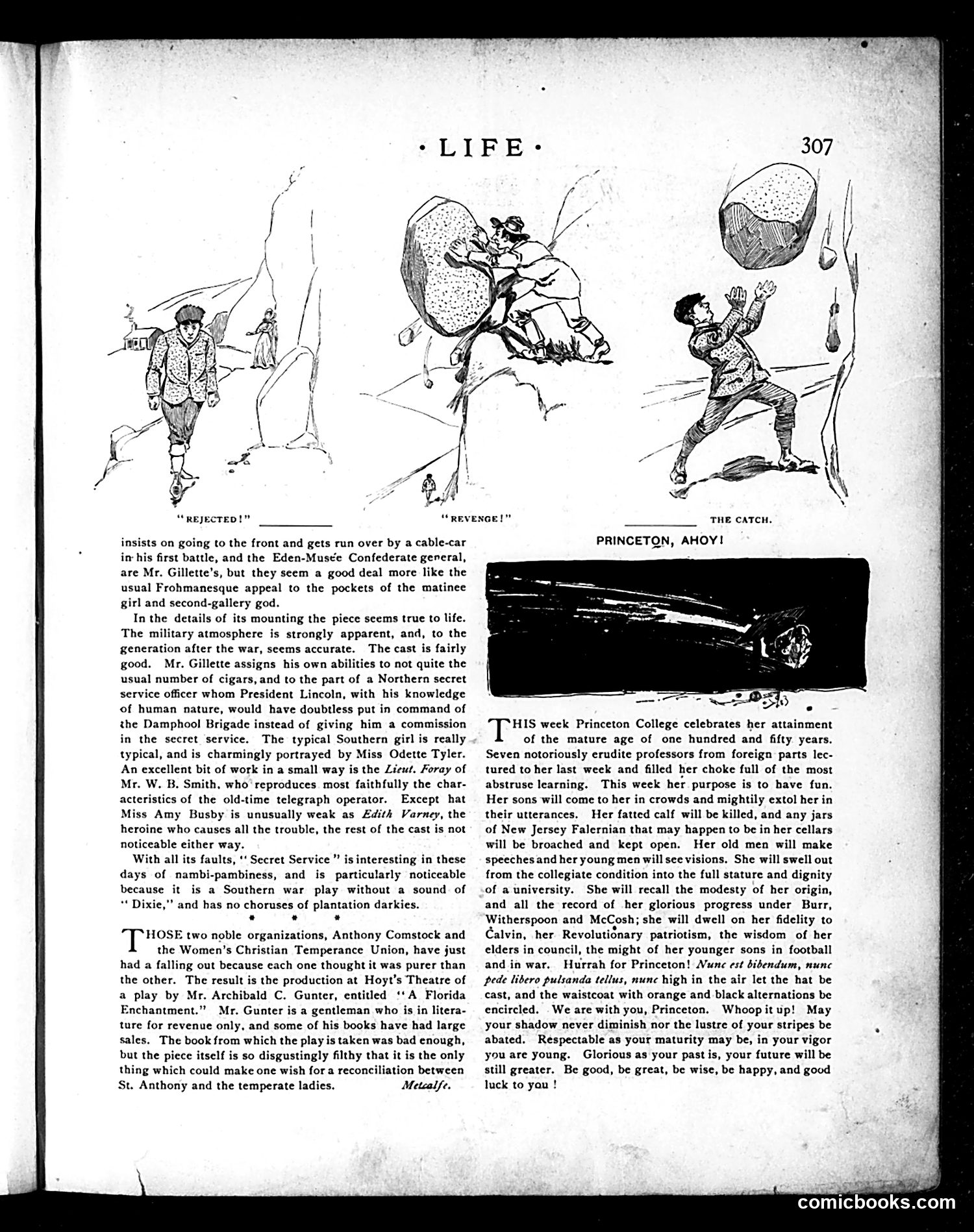 Life — October 22, 1896 — page 19 of 26