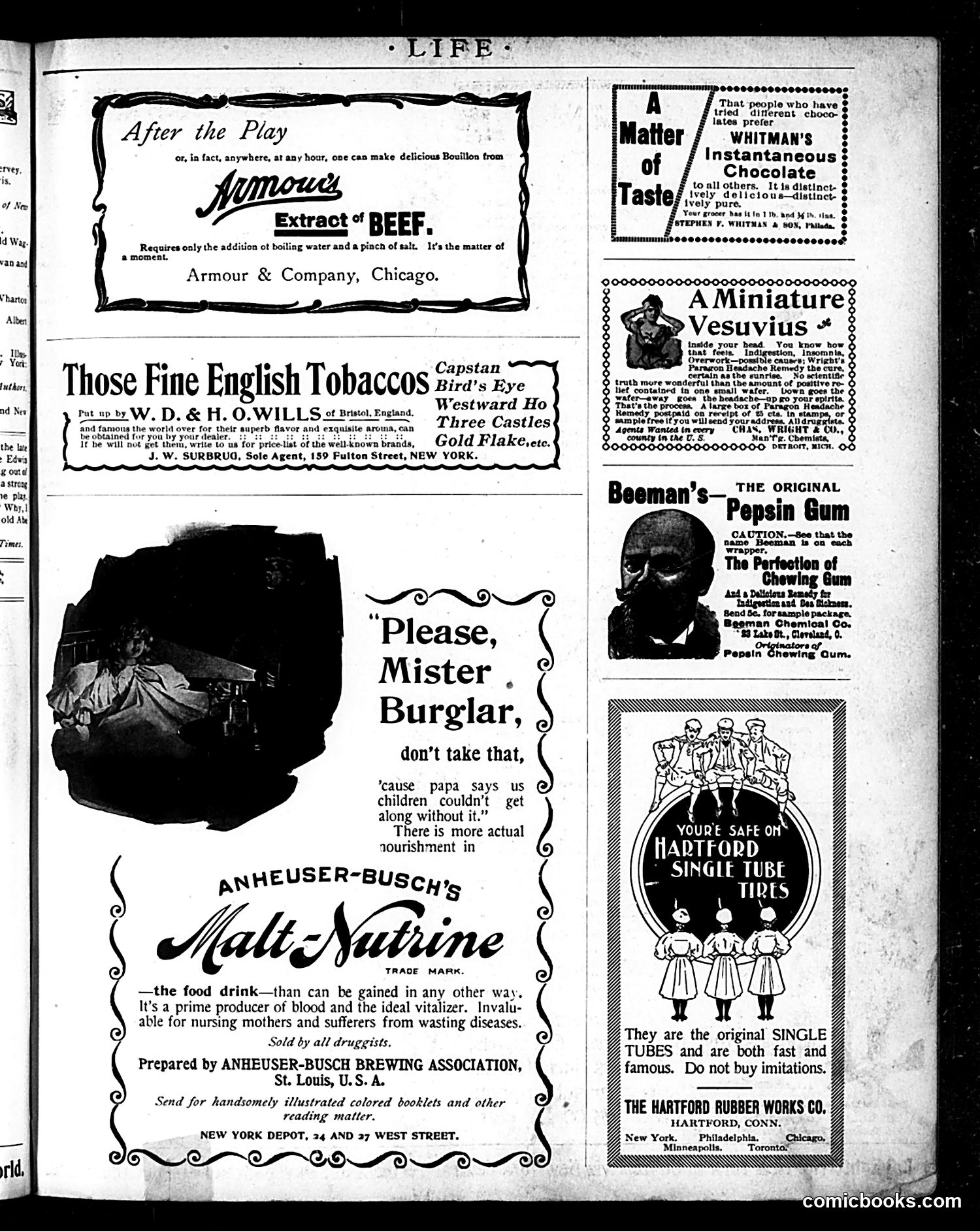 Life — October 22, 1896 — page 23 of 26