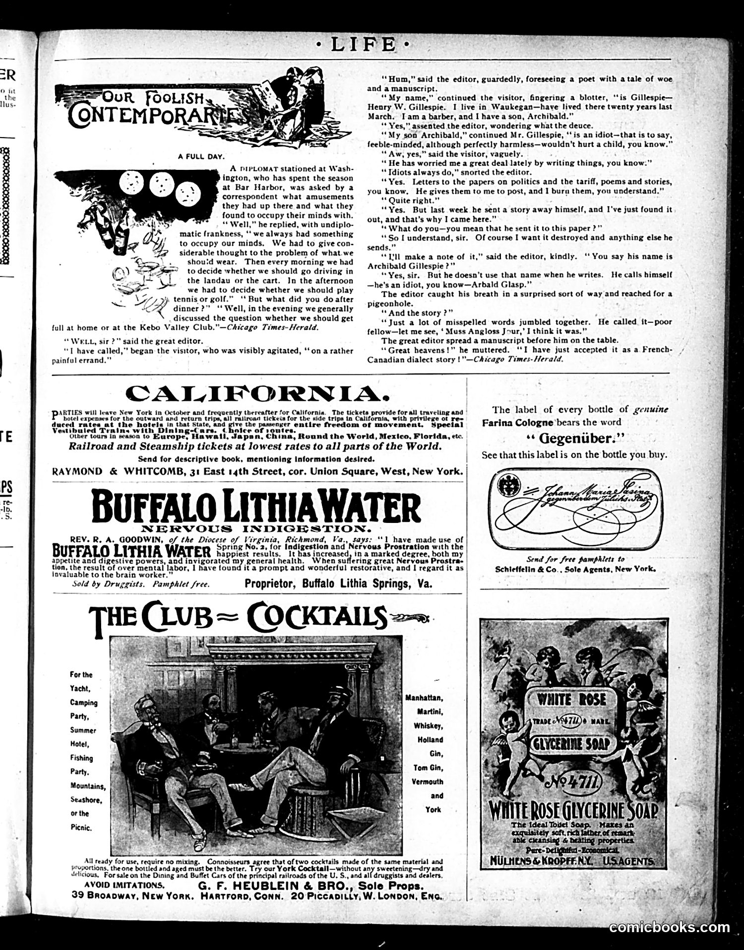 Life — October 29, 1896 — page 17 of 18