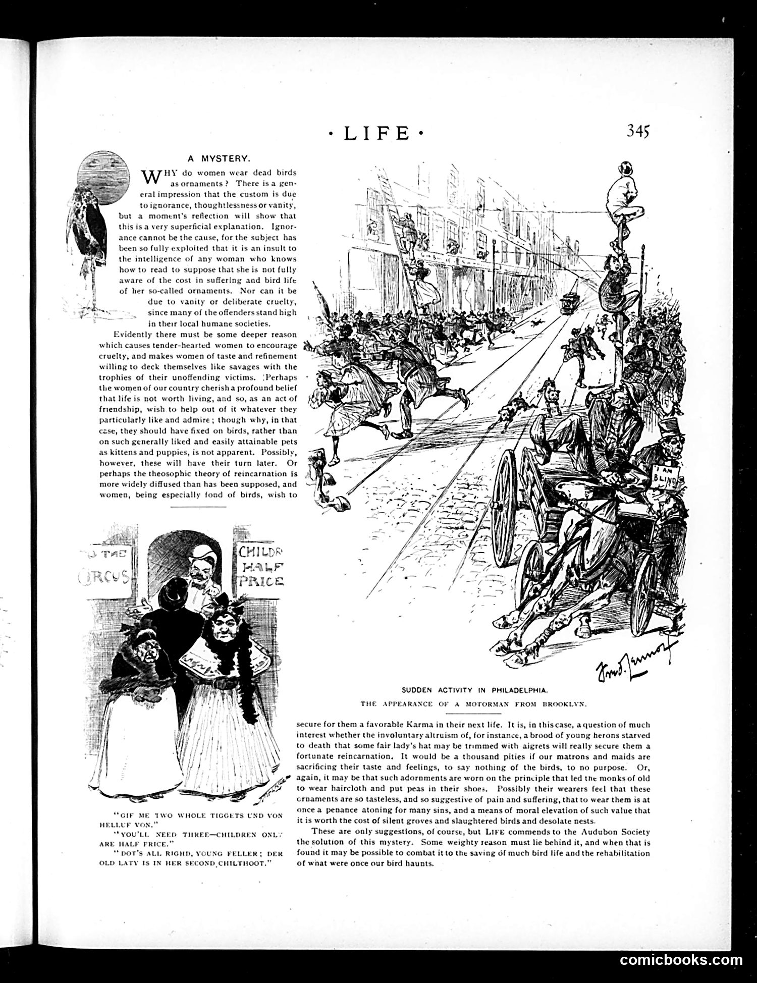 Life — November 5, 1896 — page 19 of 24