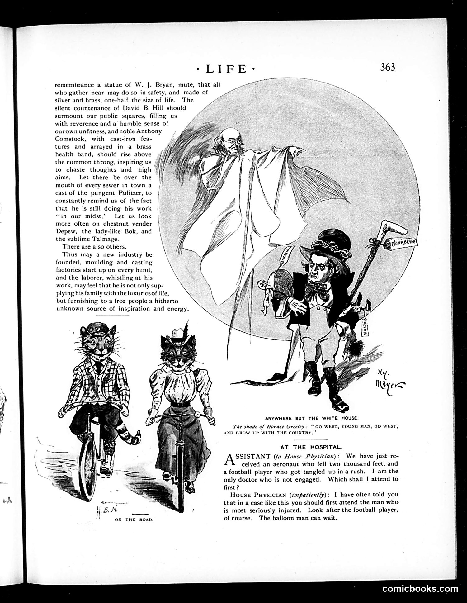 Life — November 12, 1896 — page 13 of 18