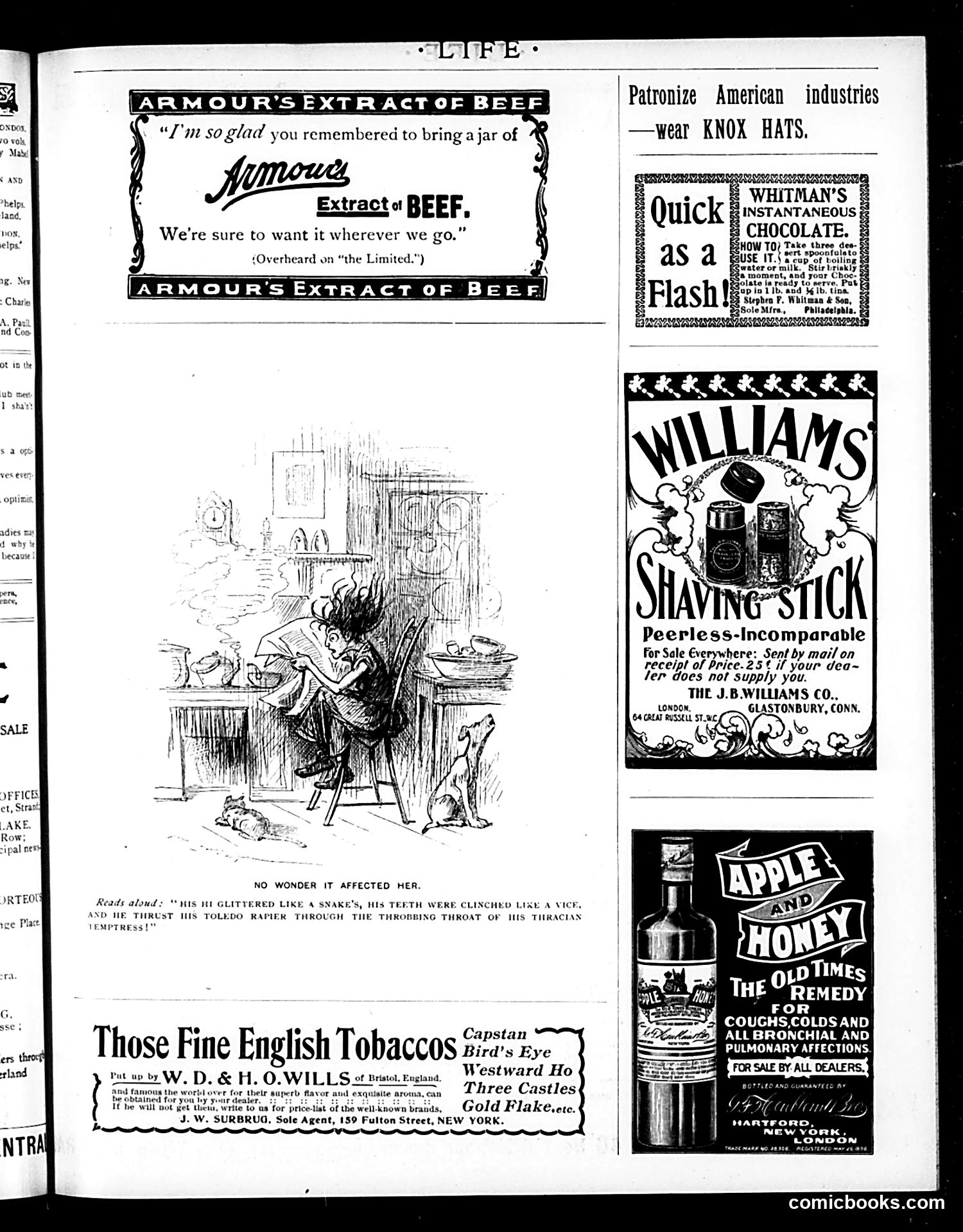 Life — November 12, 1896 — page 15 of 18