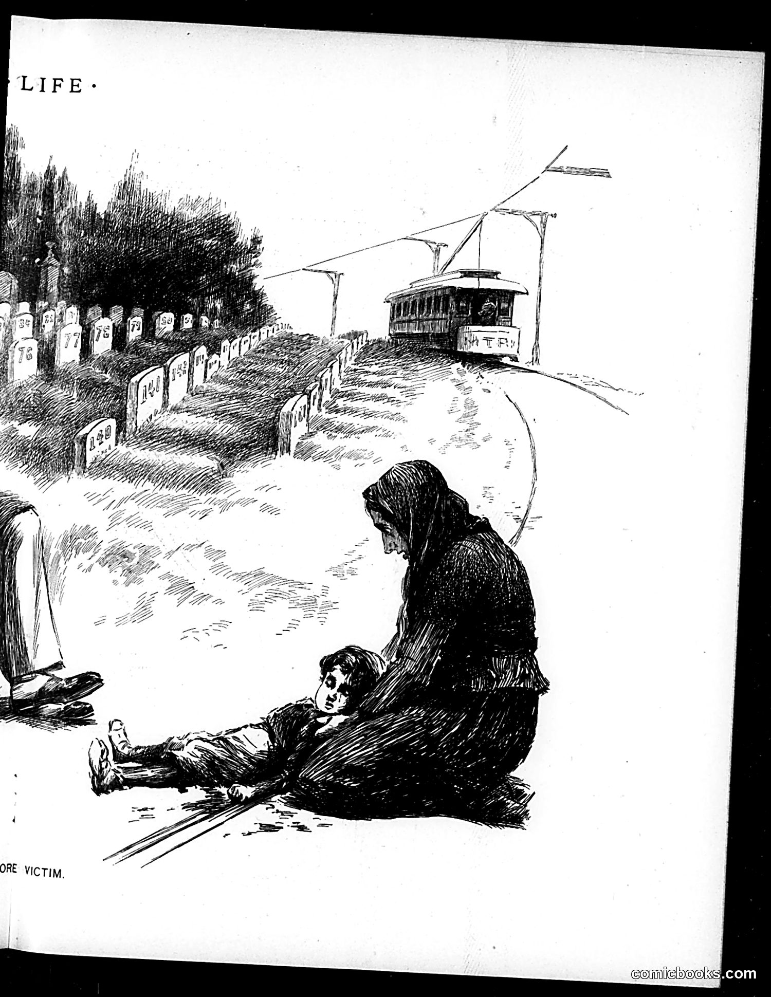 Life — November 19, 1896 — page 9 of 18