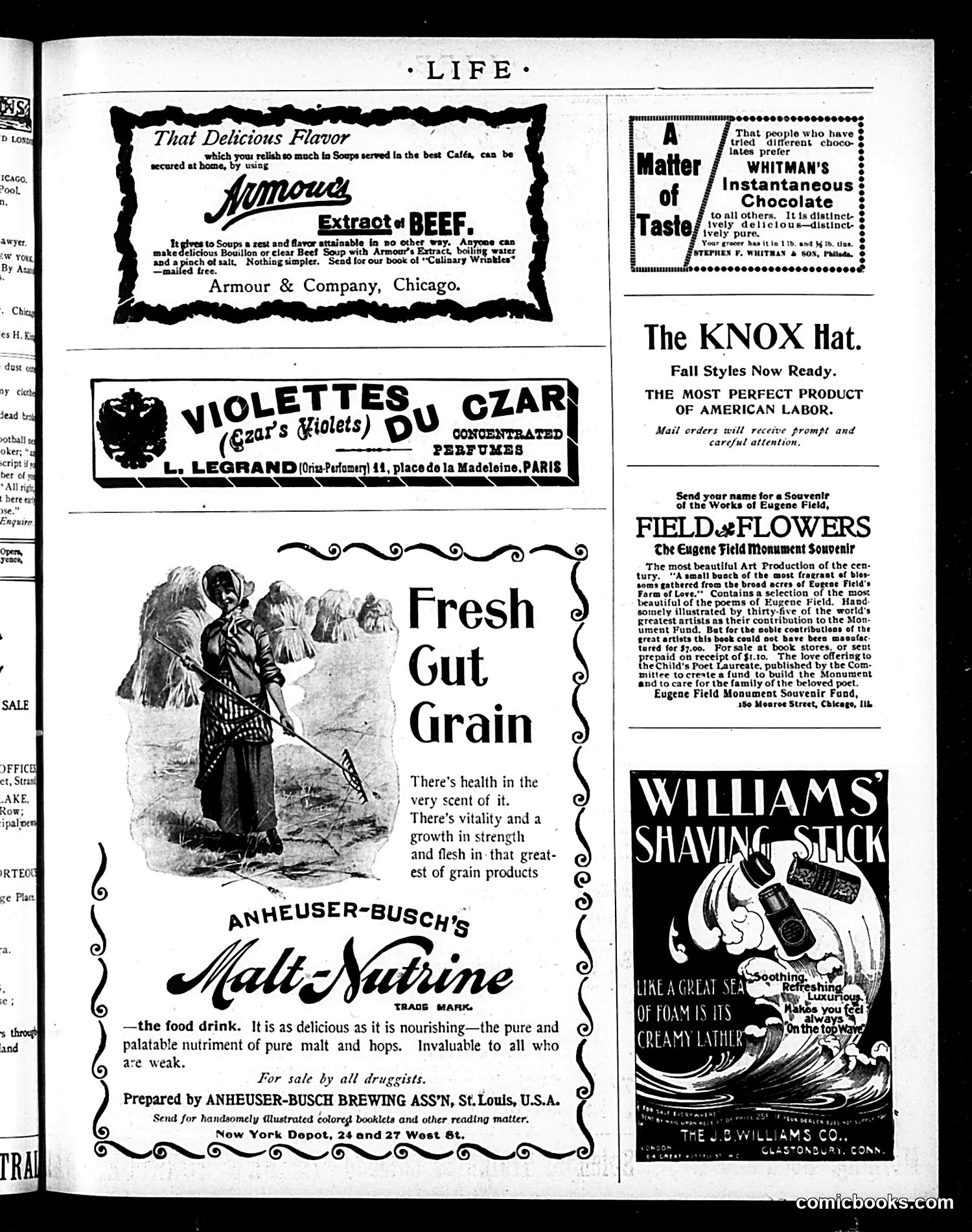 Life — November 19, 1896 — page 15 of 18