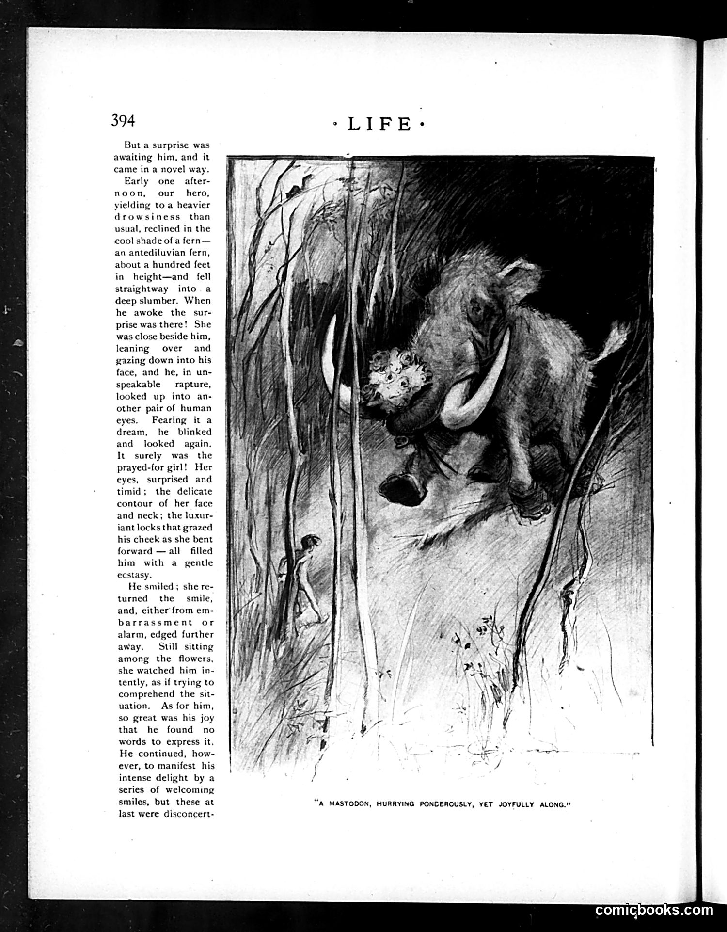 Life — November 26, 1896 — page 8 of 24