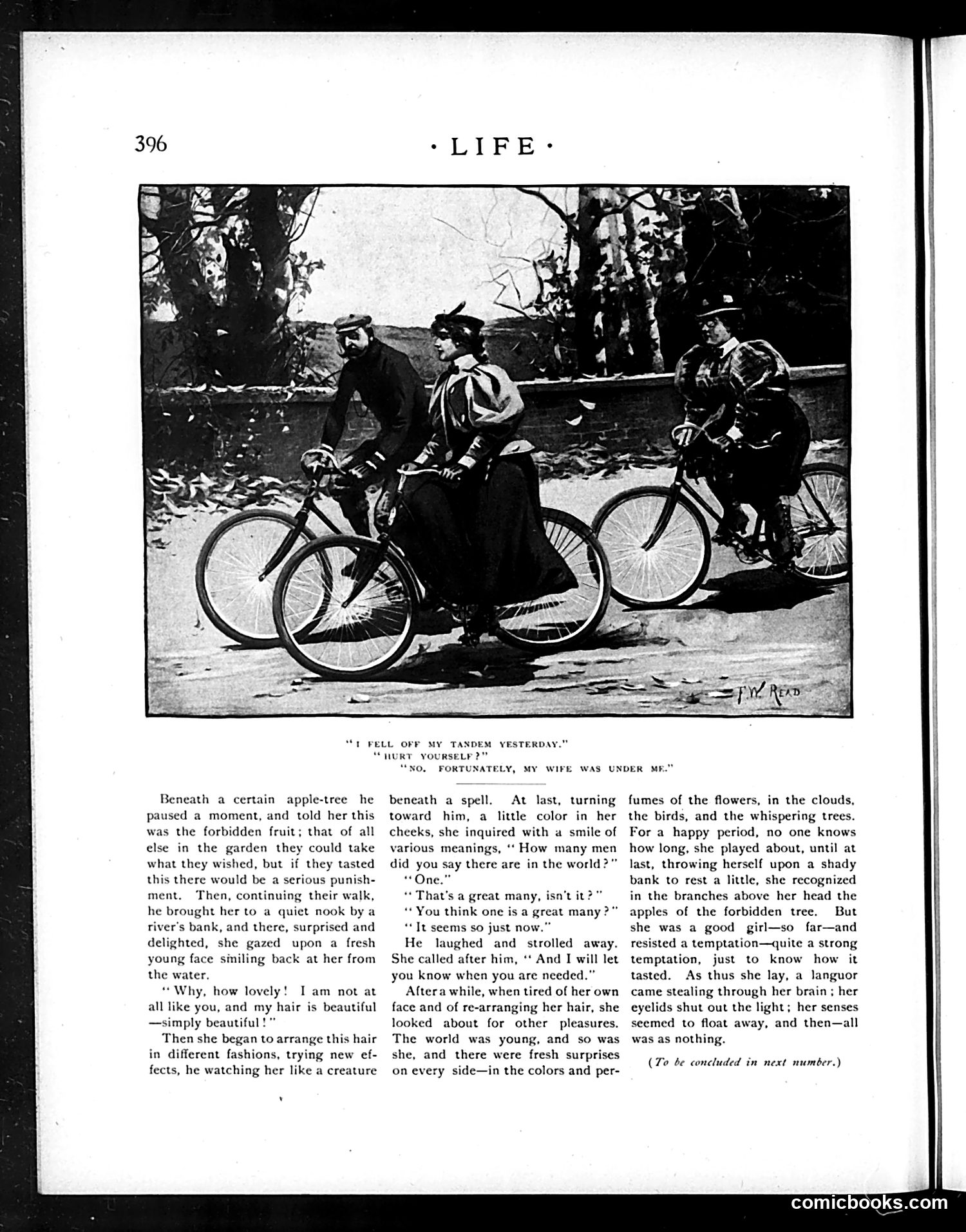 Life — November 26, 1896 — page 10 of 24