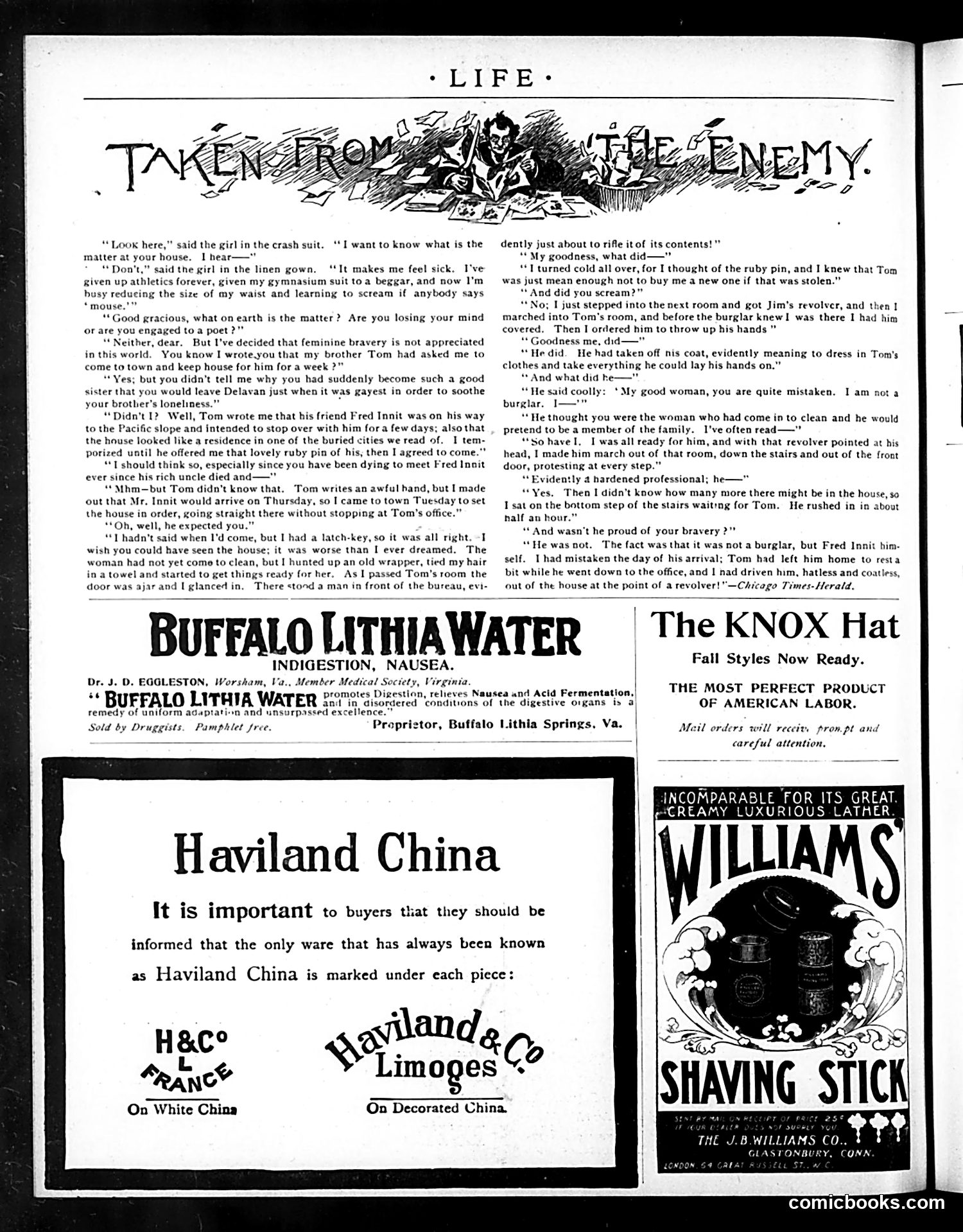 Life — November 26, 1896 — page 20 of 24
