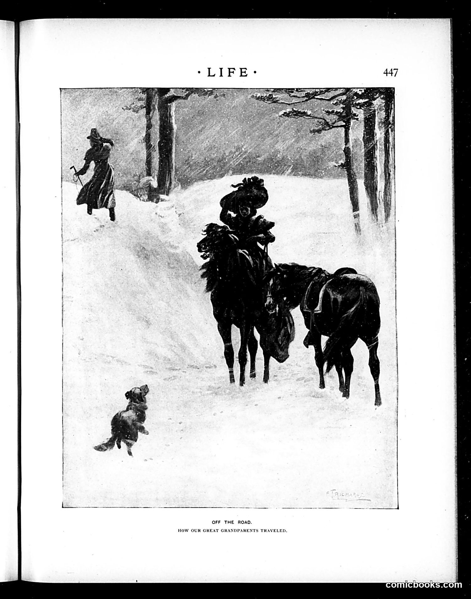 Life — December 5, 1896 — page 11 of 34