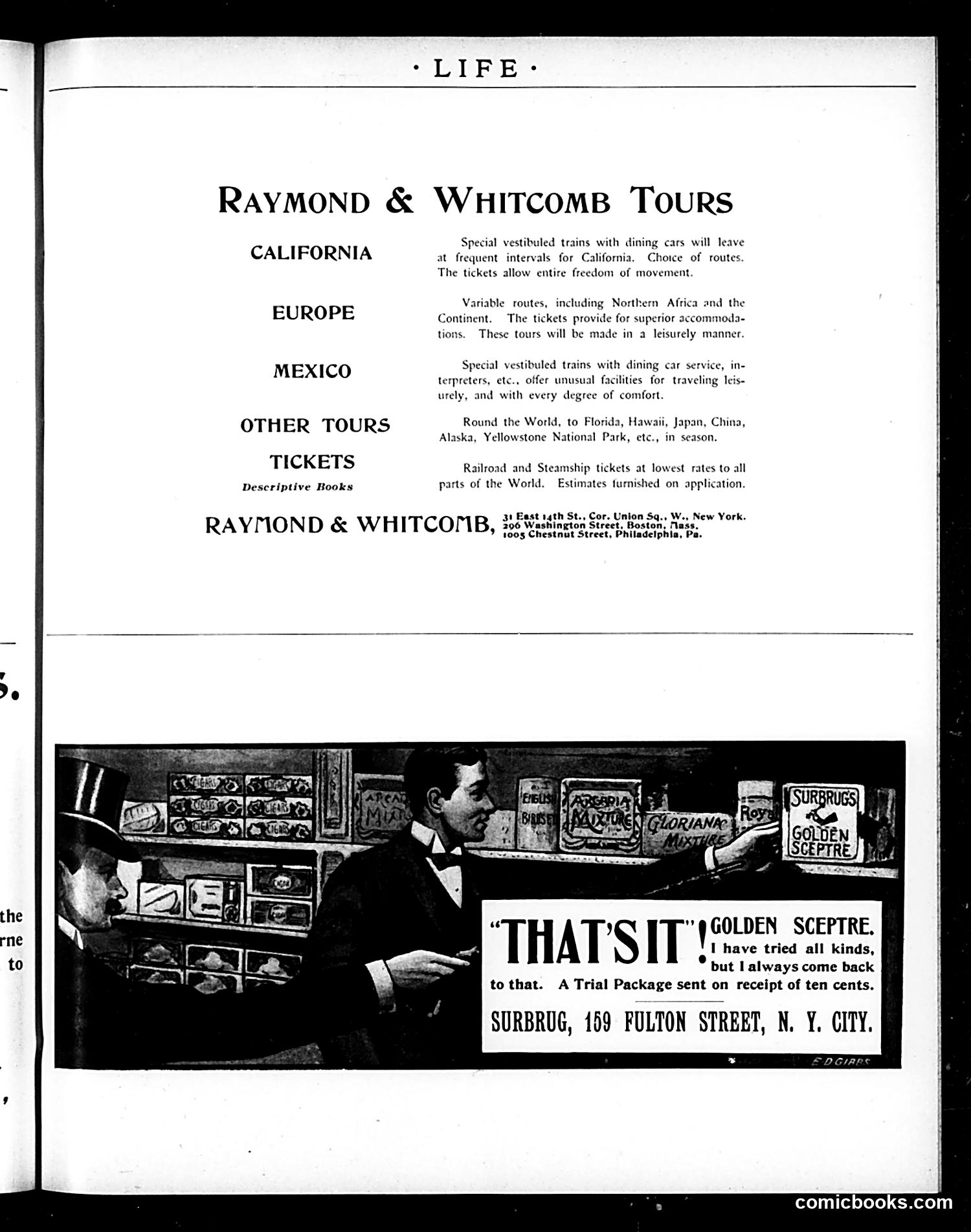 Life — December 5, 1896 — page 29 of 34