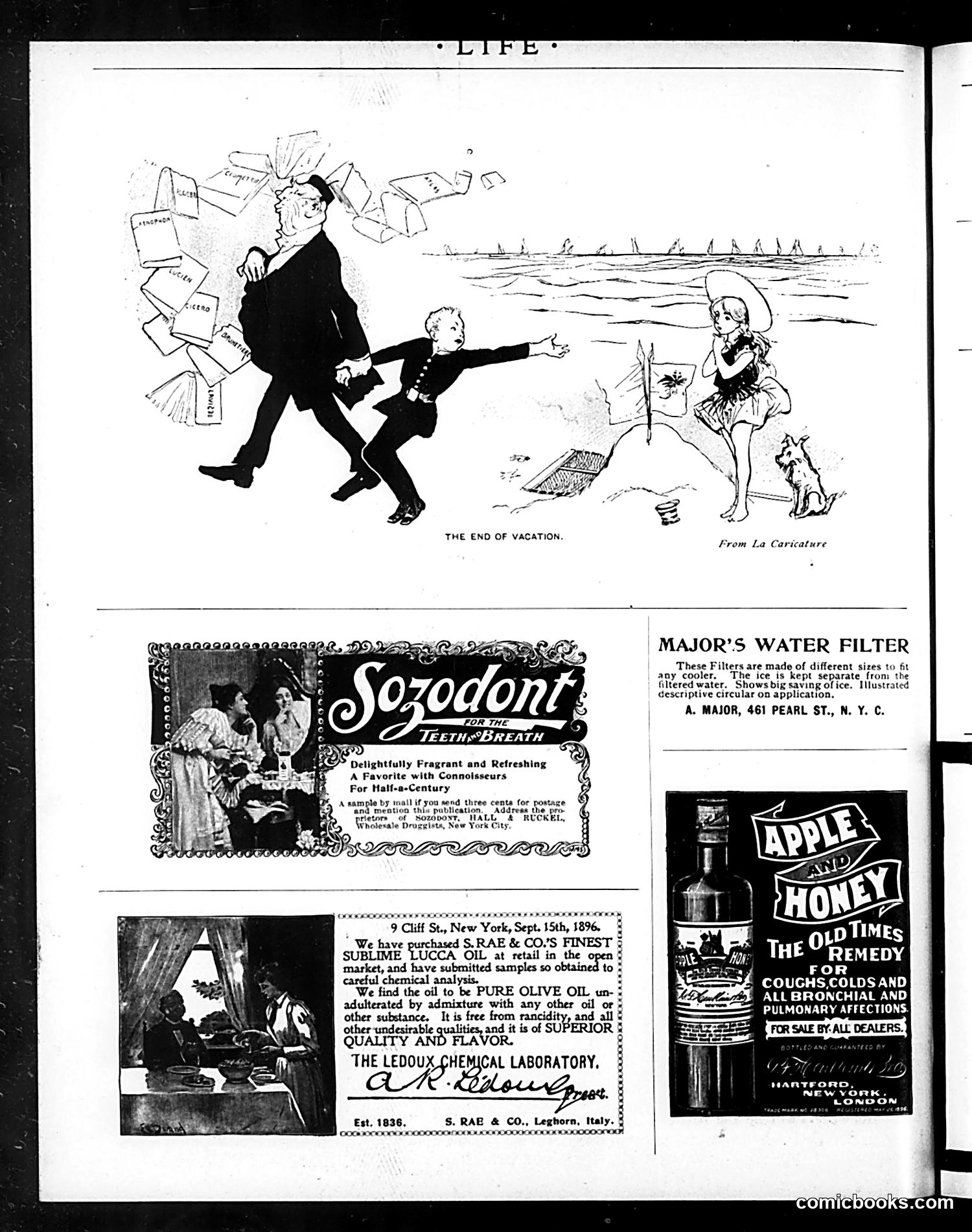 Life — December 10, 1896 — page 18 of 20