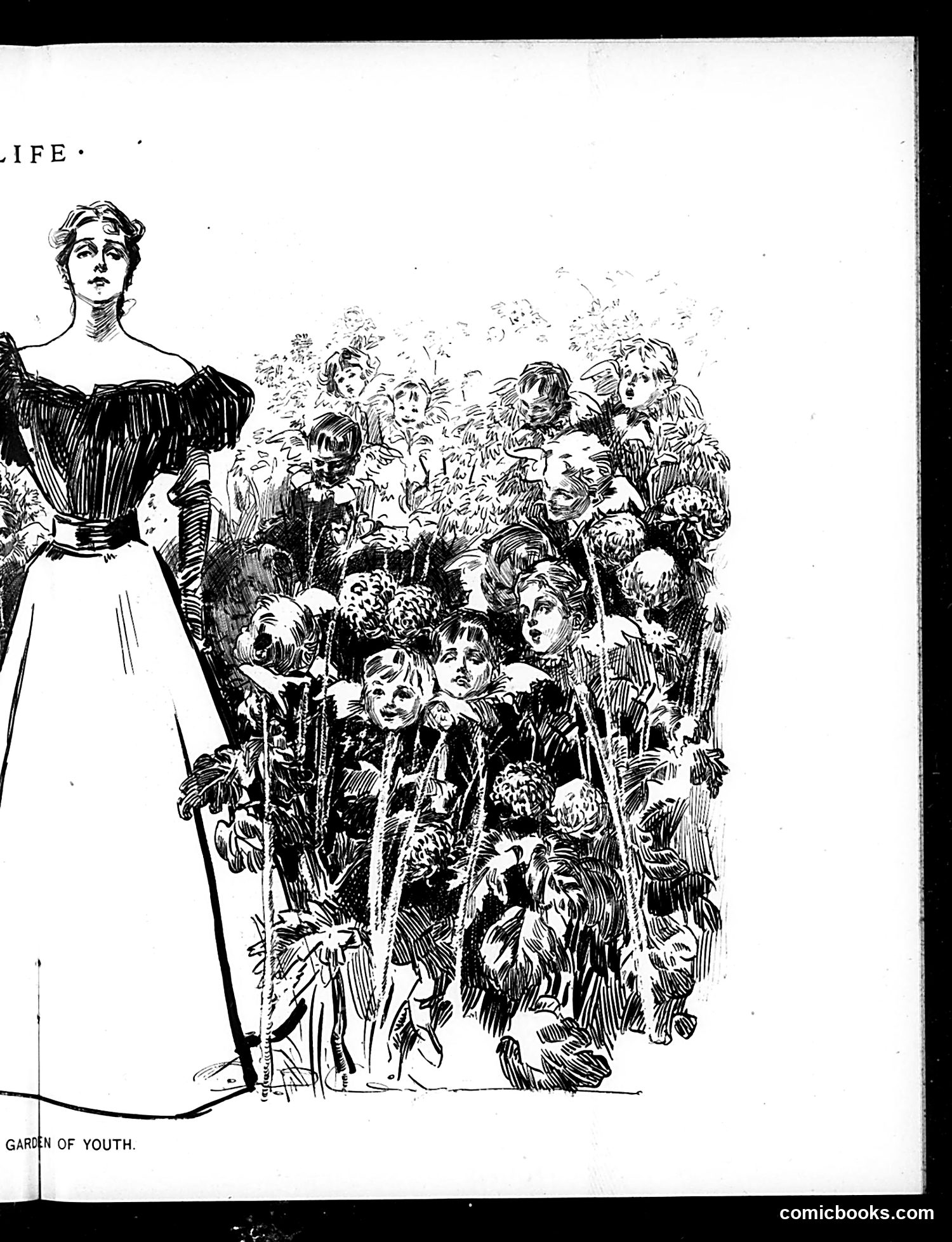Life — December 17, 1896 — page 11 of 20