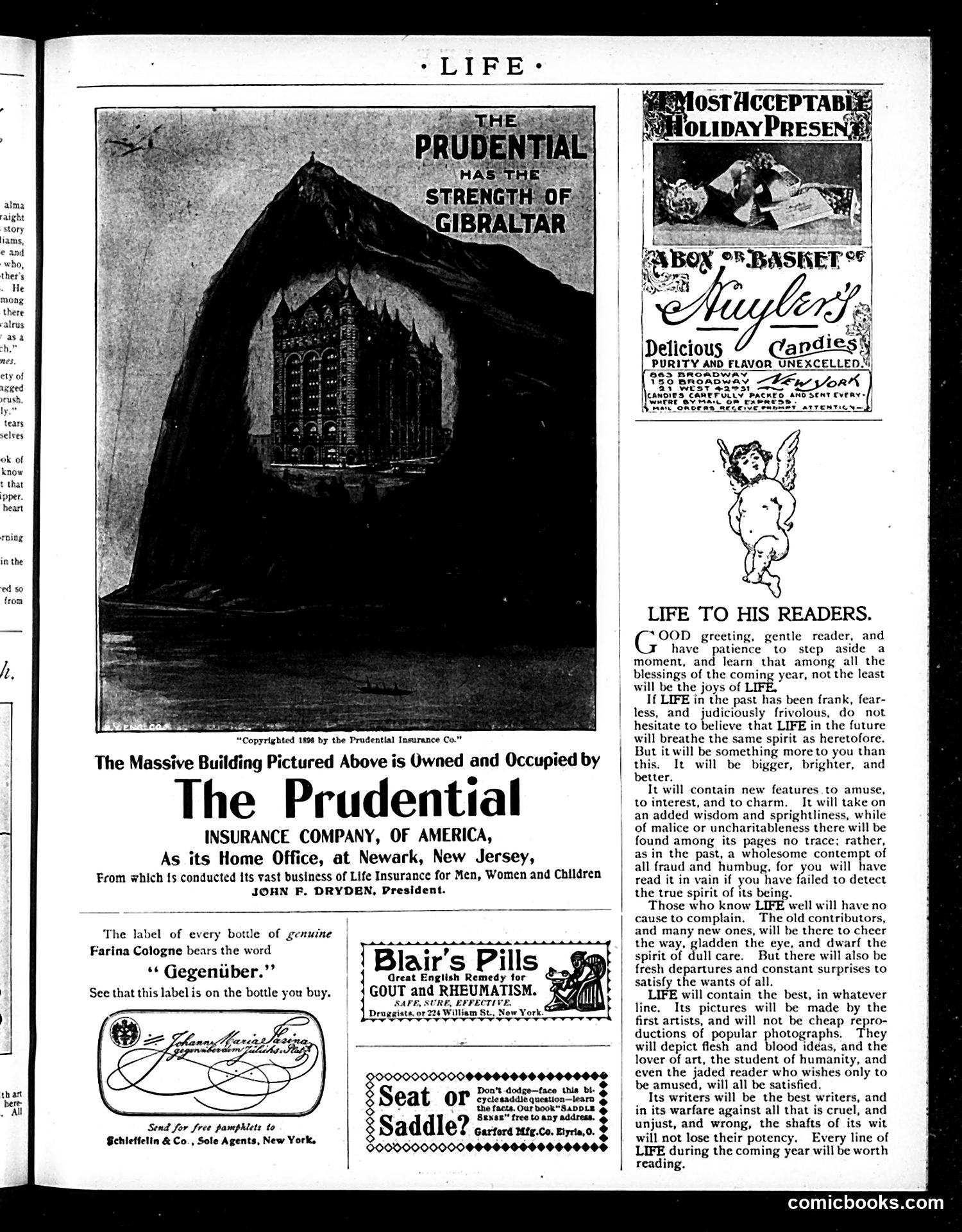 Life — December 17, 1896 — page 19 of 20
