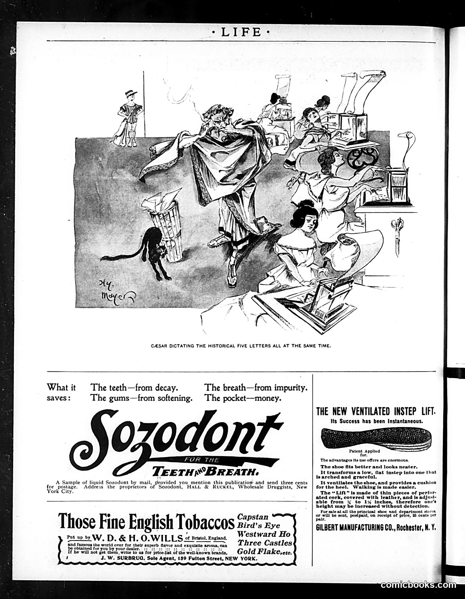 Life — December 24, 1896 — page 18 of 20