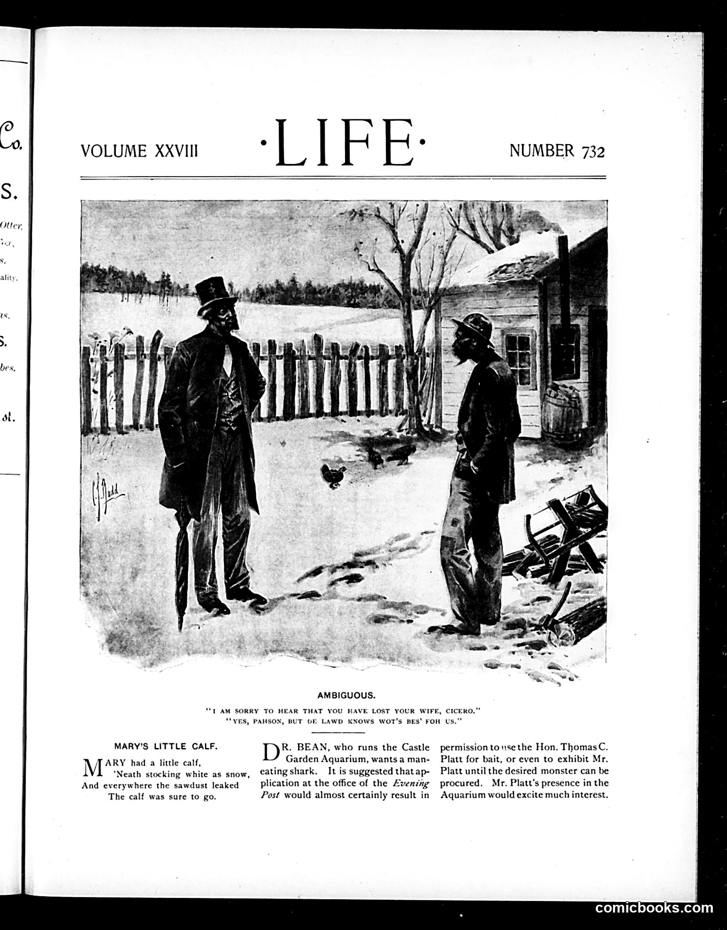 Life — December 31, 1896 — page 3 of 21