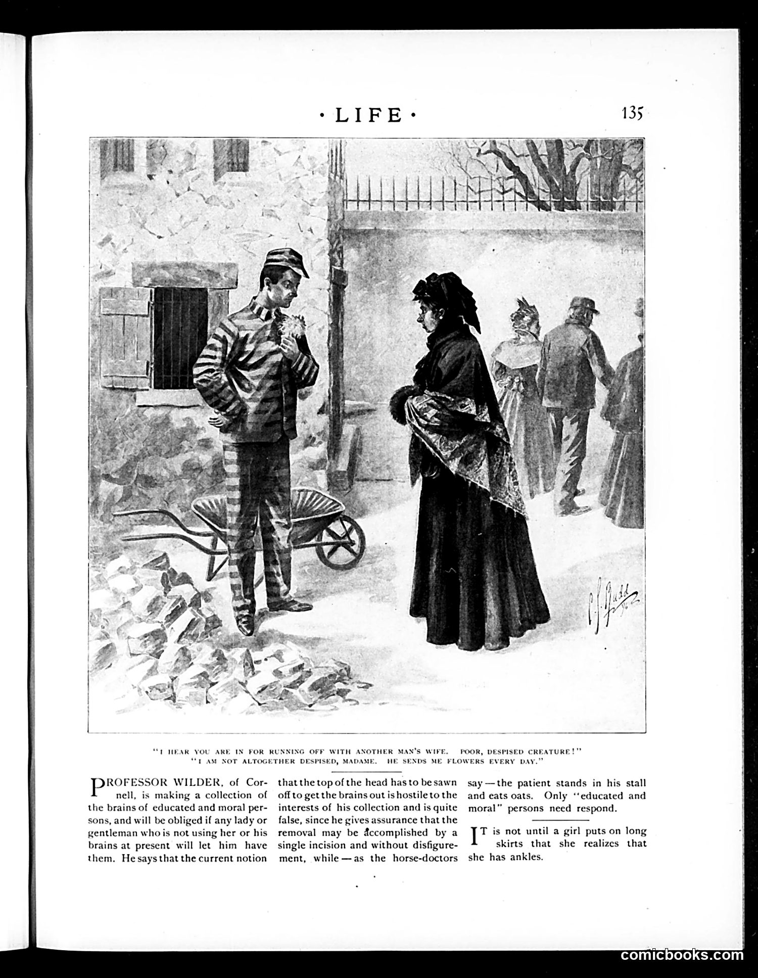 Life — February 18, 1897 — page 13 of 20