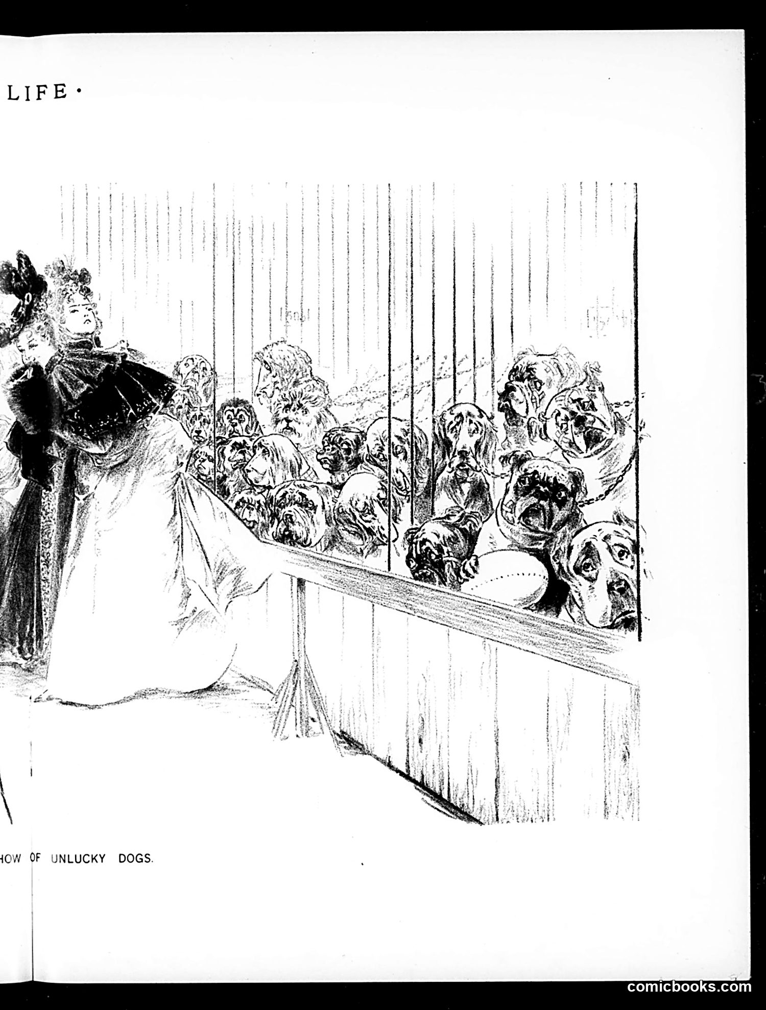 Life — February 25, 1897 — page 11 of 20