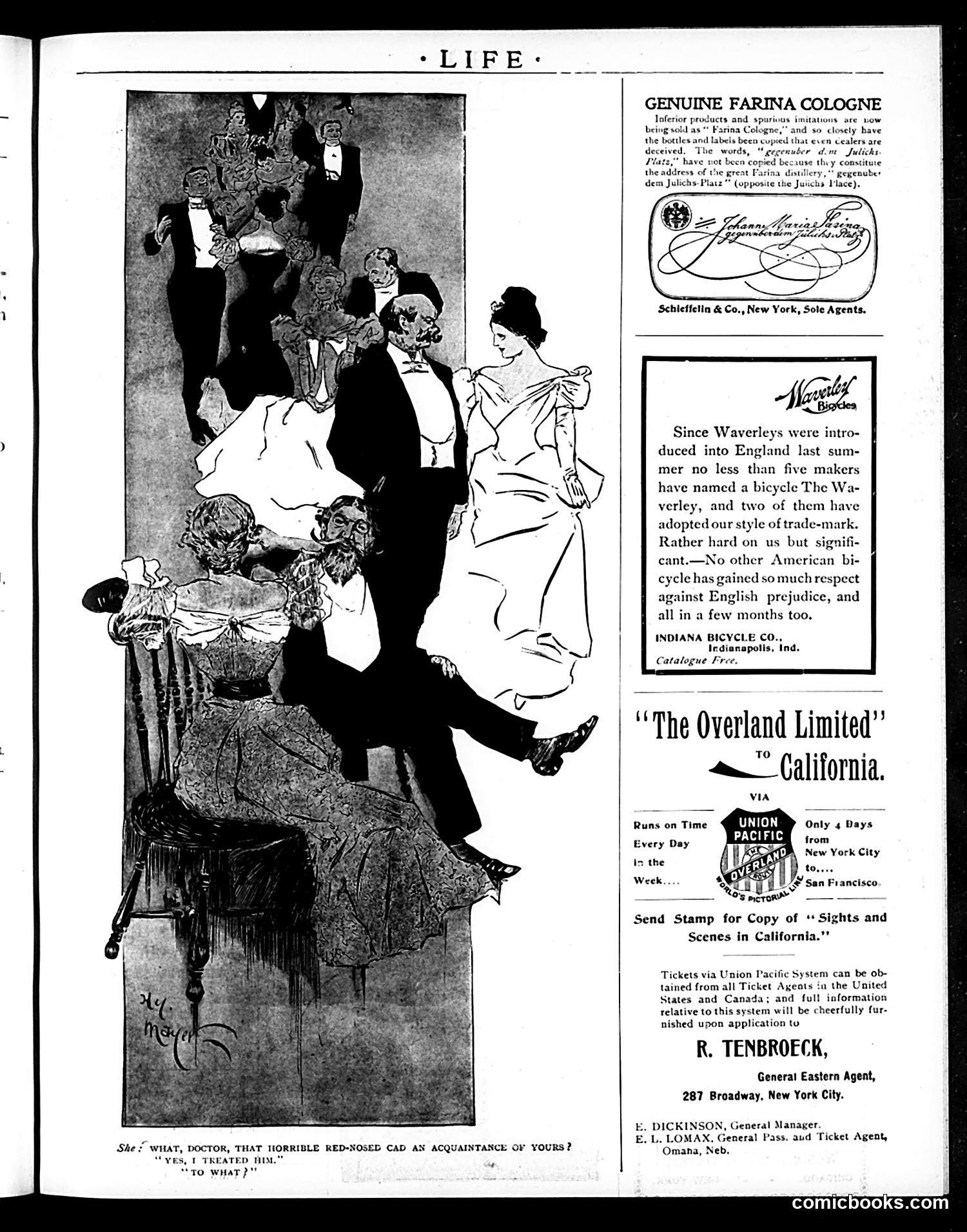 Life — May 20, 1897 — page 19 of 20