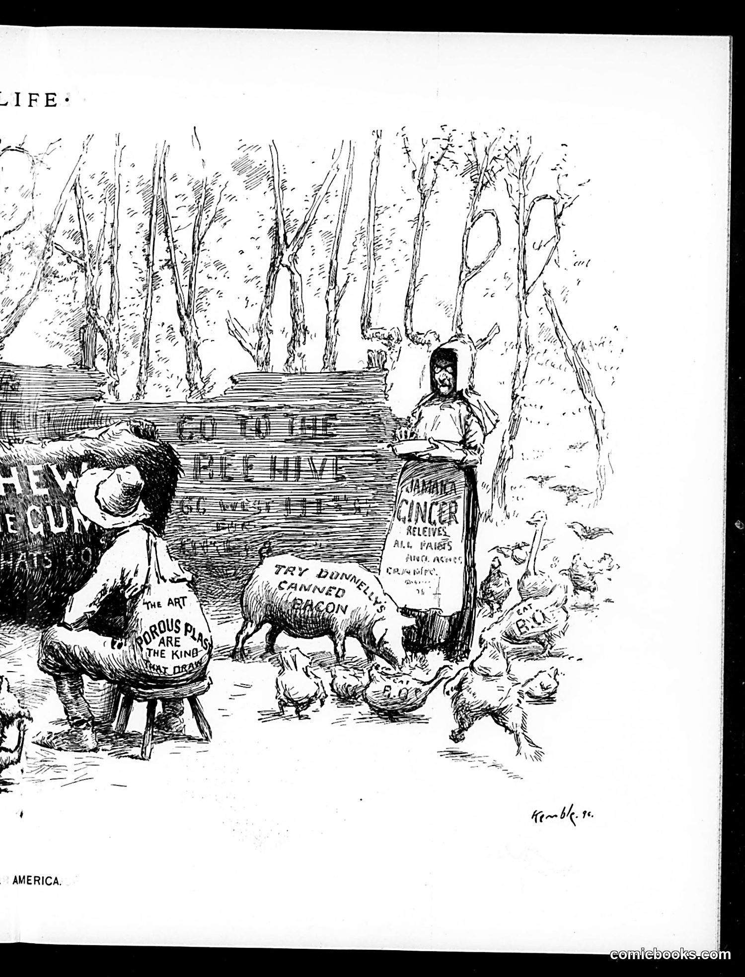 Life — June 17, 1897 — page 11 of 20