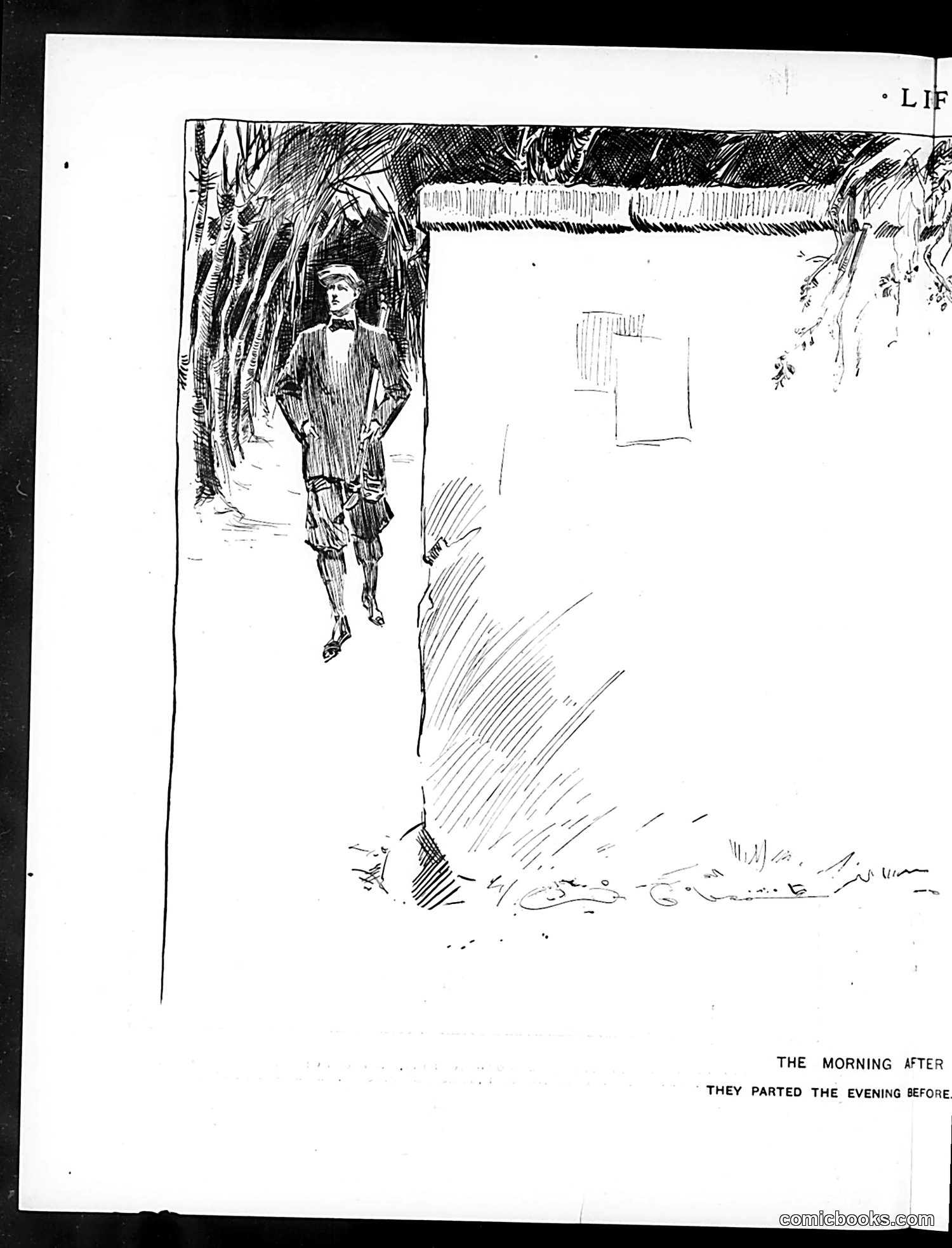 Life — July 15, 1897 — page 10 of 20