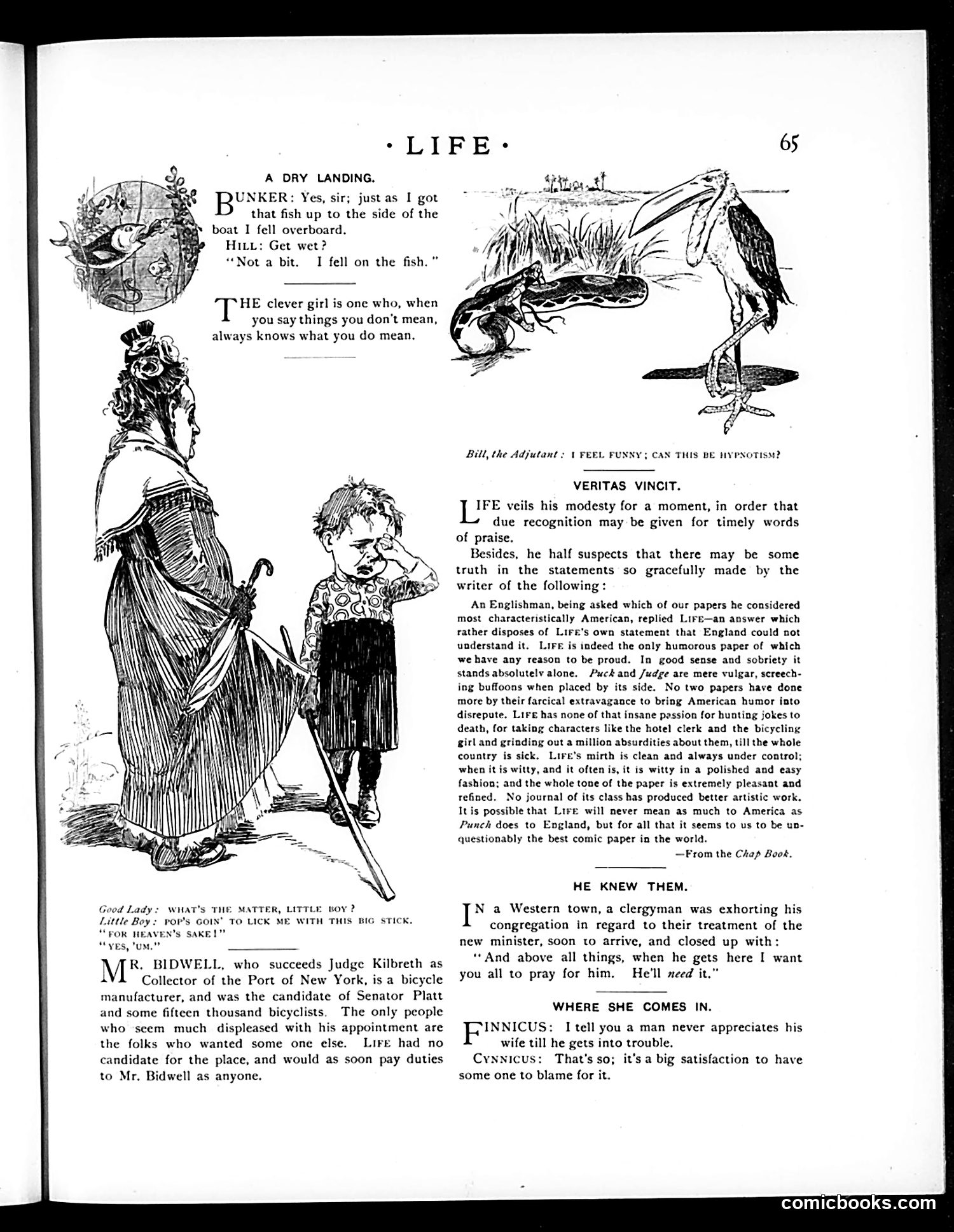 Life — July 22, 1897 — page 5 of 20