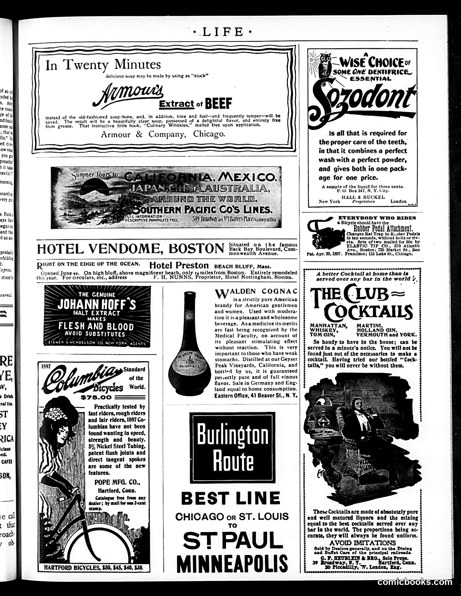 Life — August 19, 1897 — page 17 of 20