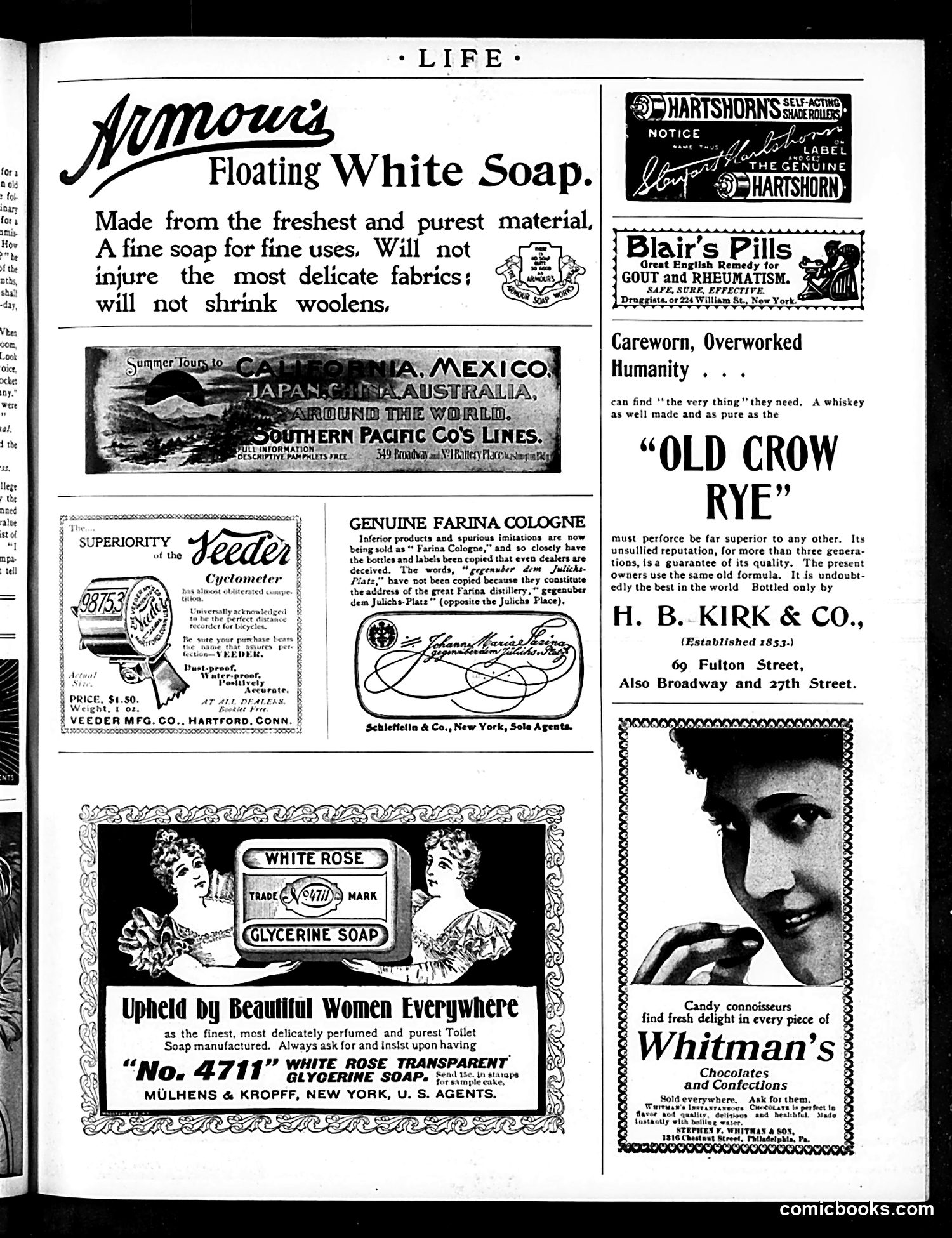 Life — August 26, 1897 — page 17 of 20