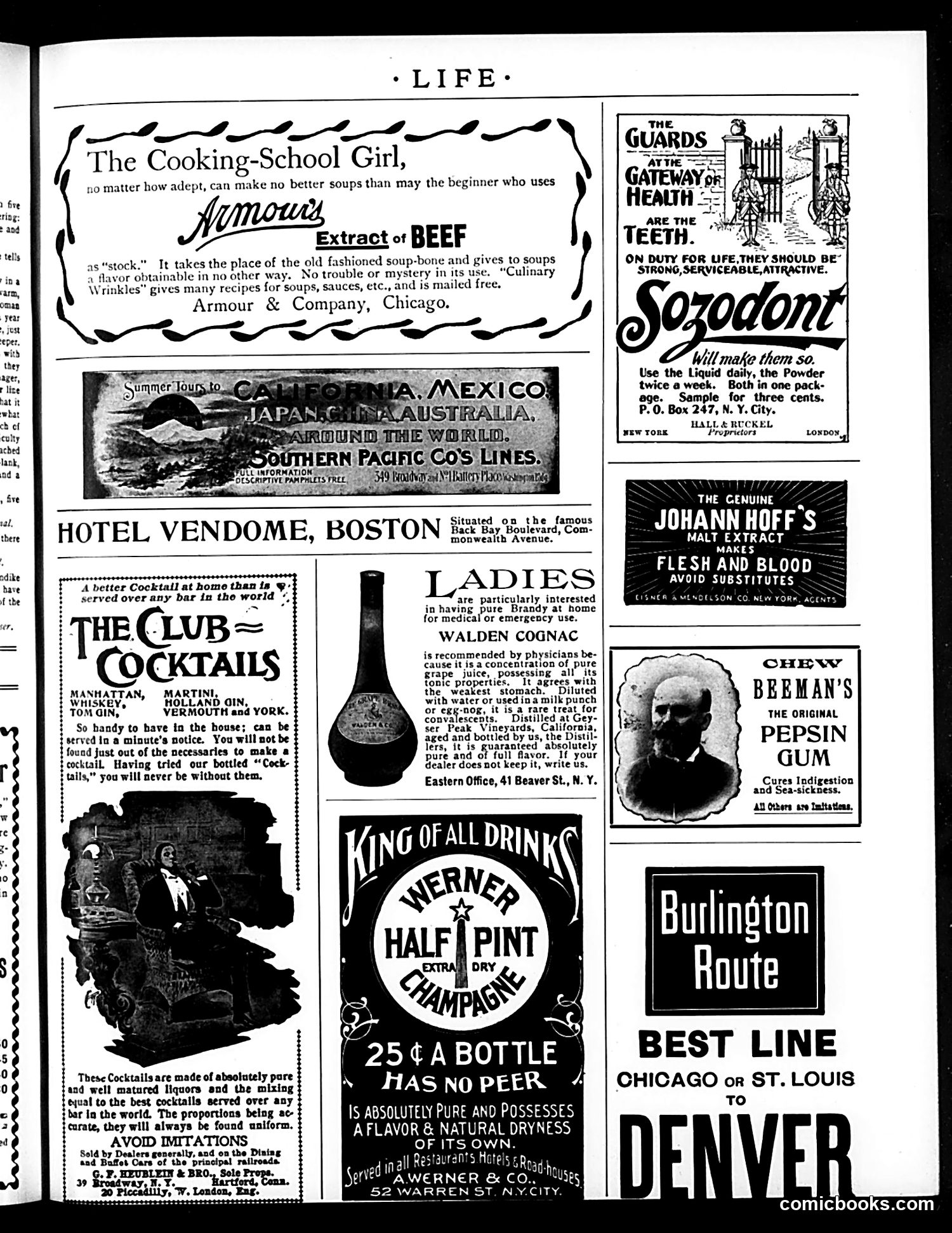 Life — September 2, 1897 — page 17 of 20