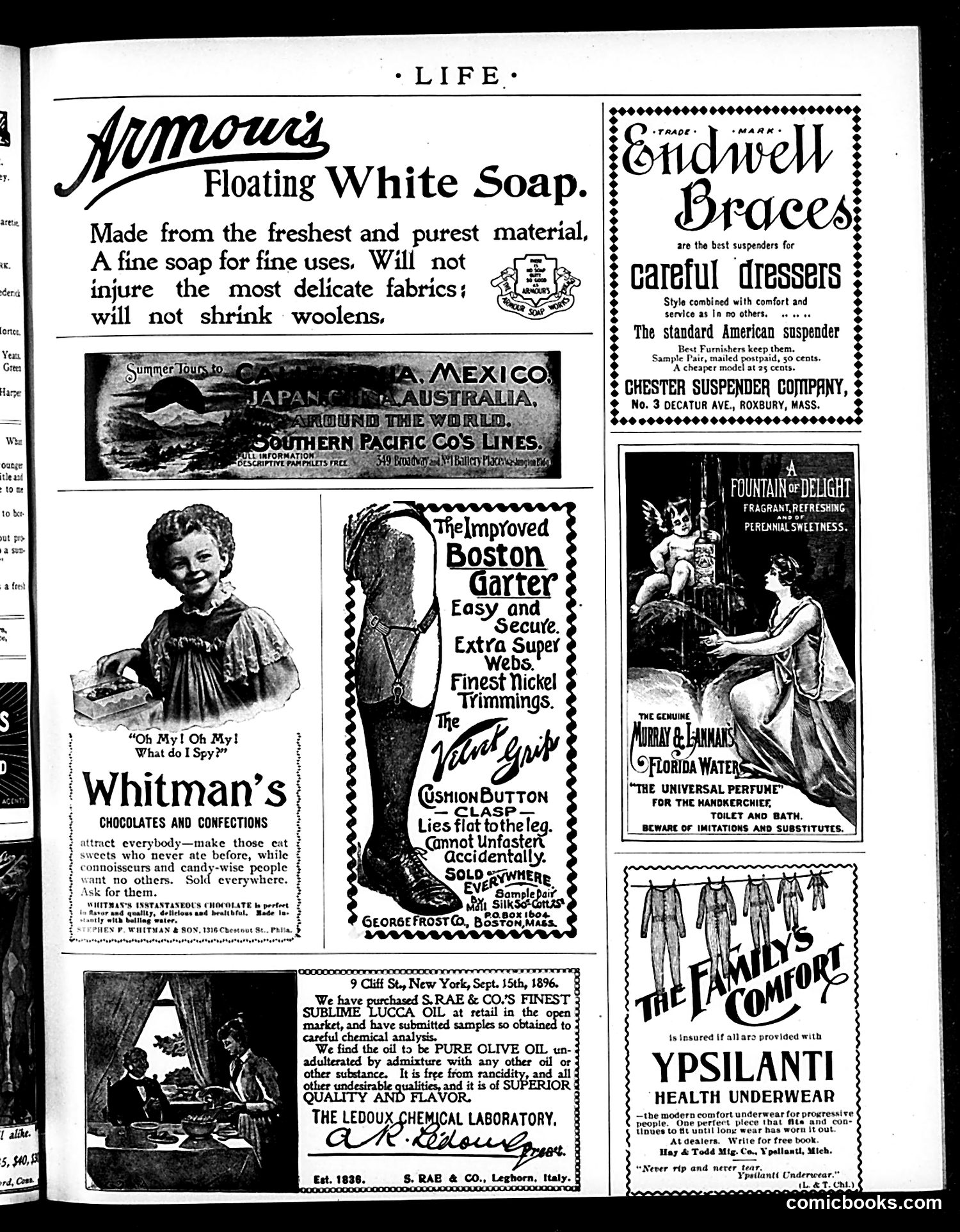 Life — September 9, 1897 — page 17 of 20