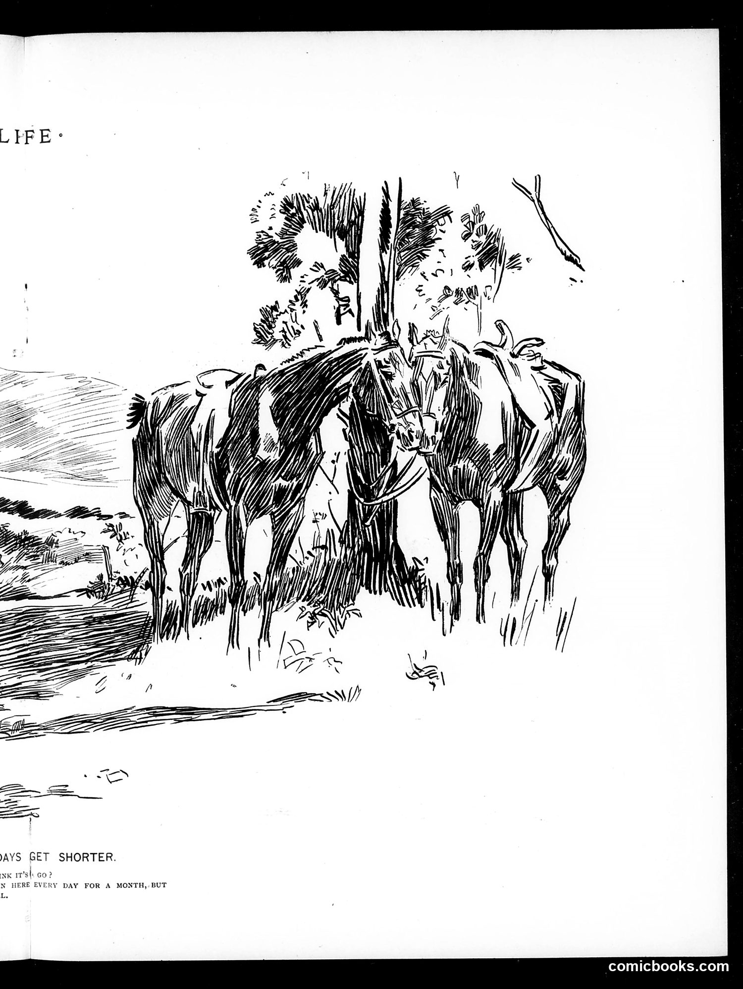Life — September 16, 1897 — page 11 of 20