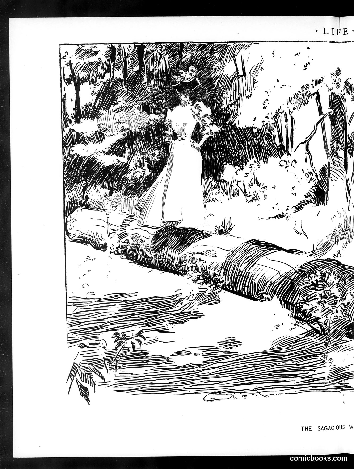 Life — October 14, 1897 — page 10 of 22