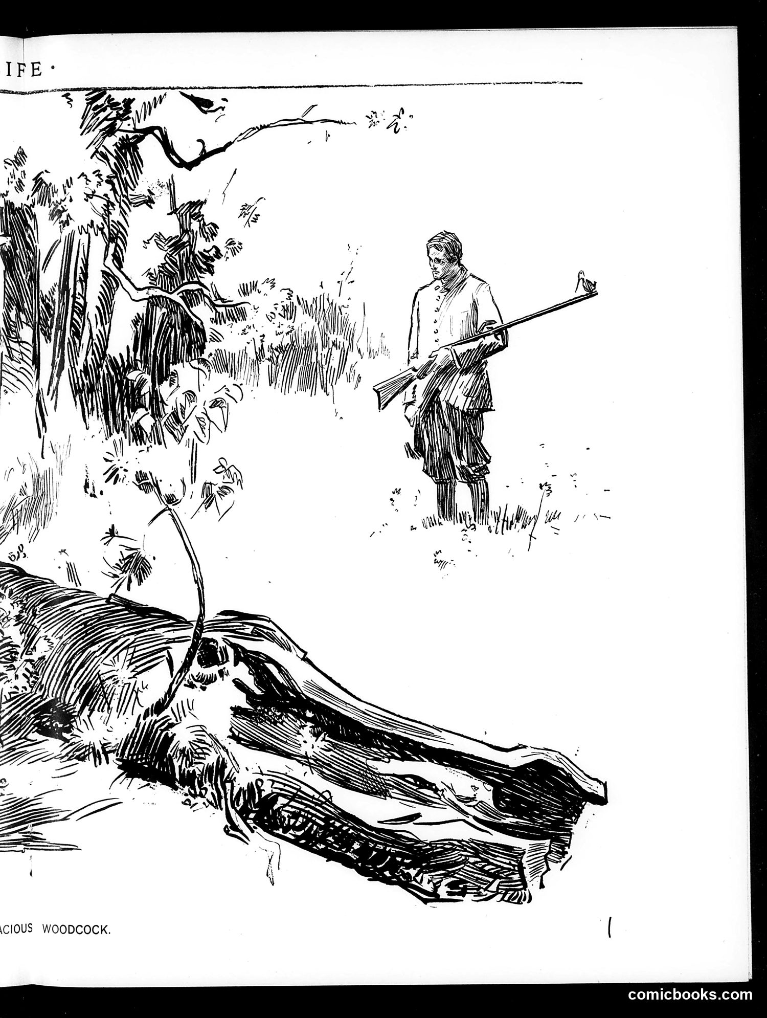 Life — October 14, 1897 — page 11 of 22