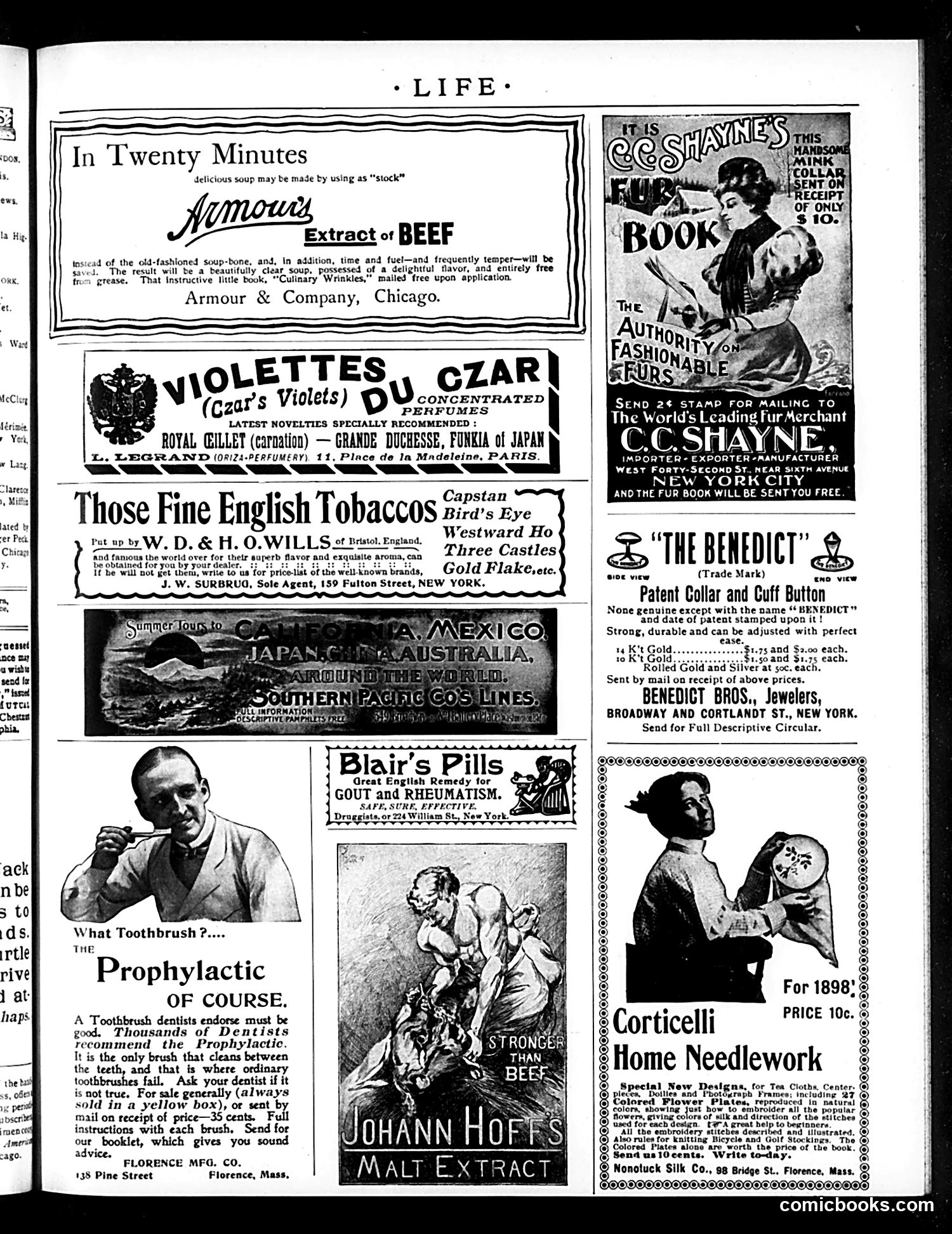 Life — November 4, 1897 — page 17 of 20