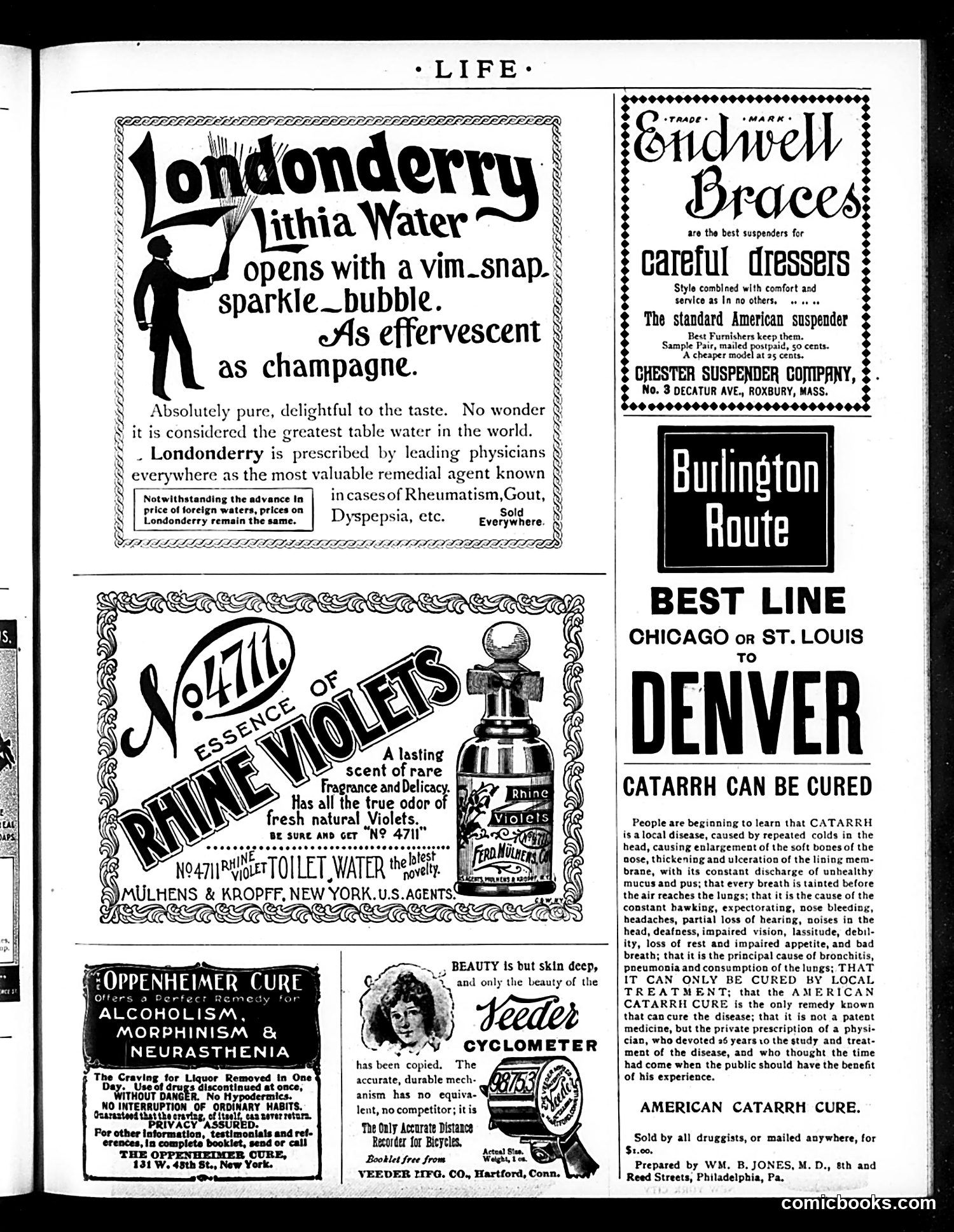 Life — November 4, 1897 — page 19 of 20