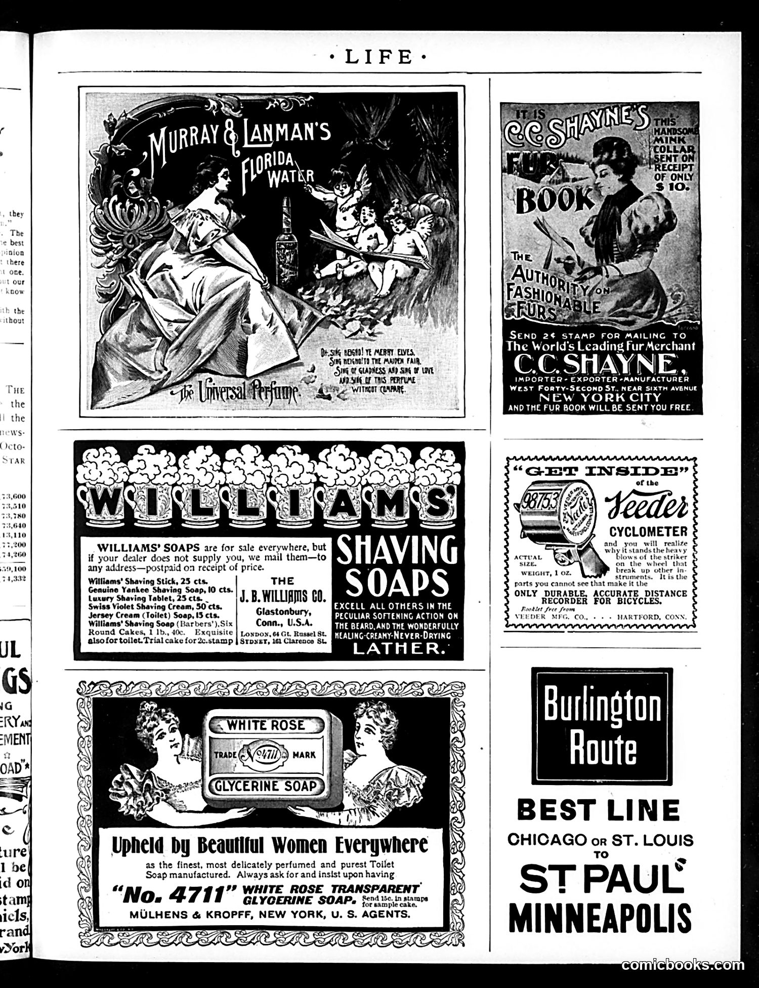 Life — November 18, 1897 — page 21 of 26