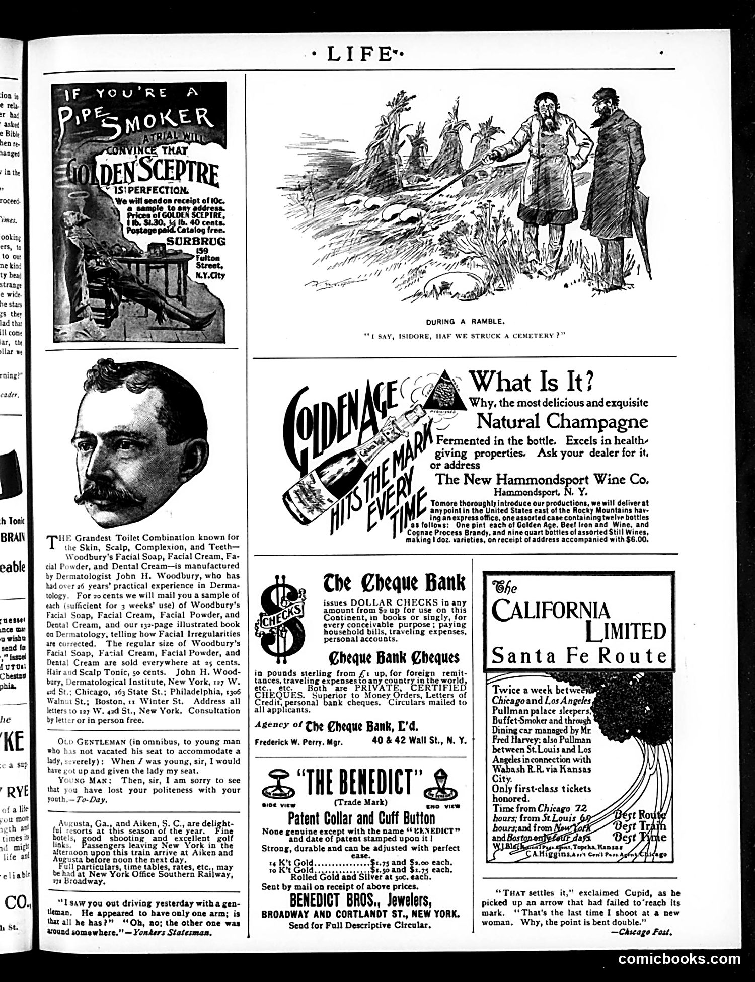 Life — November 18, 1897 — page 23 of 26