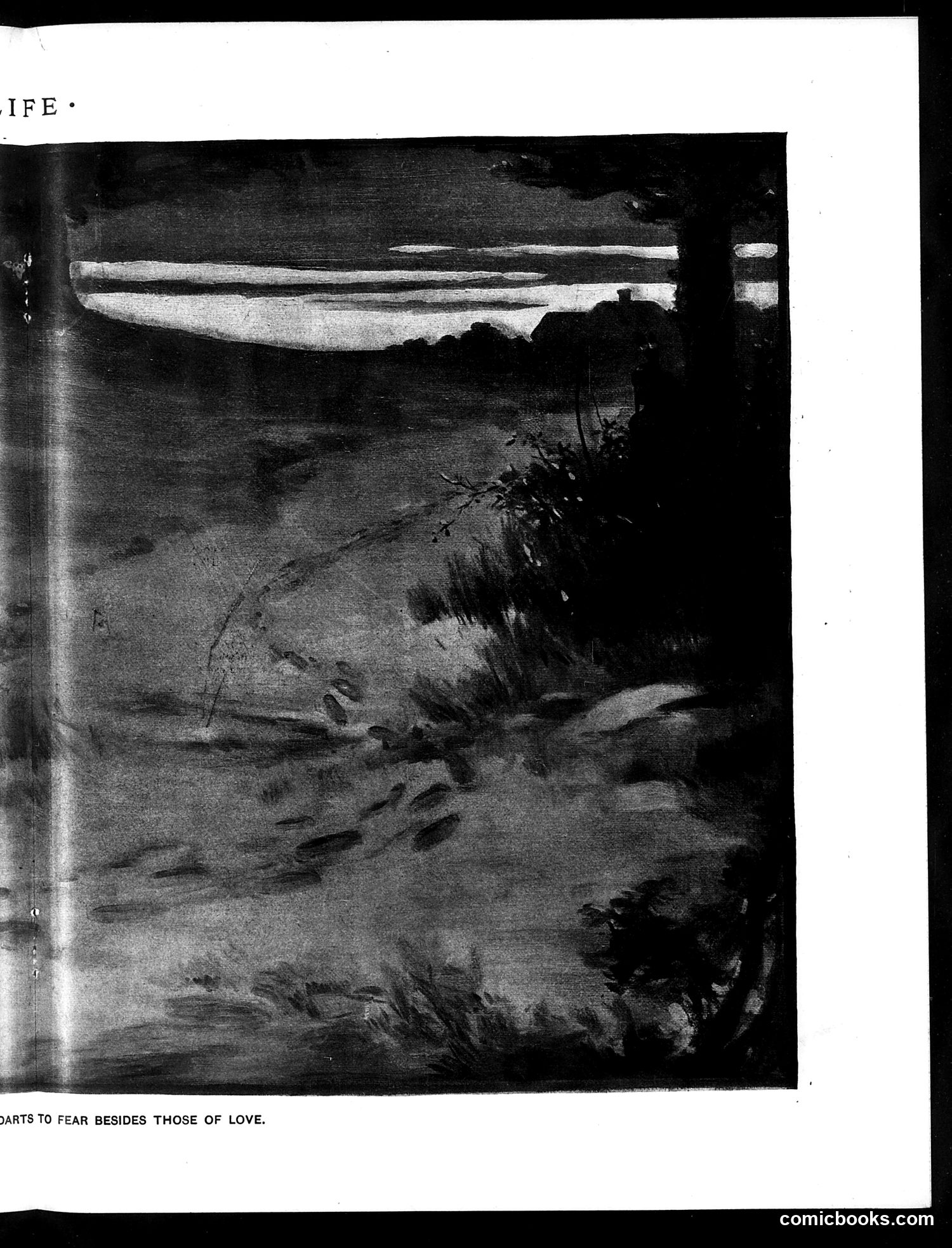 Life — November 25, 1897 — page 11 of 20