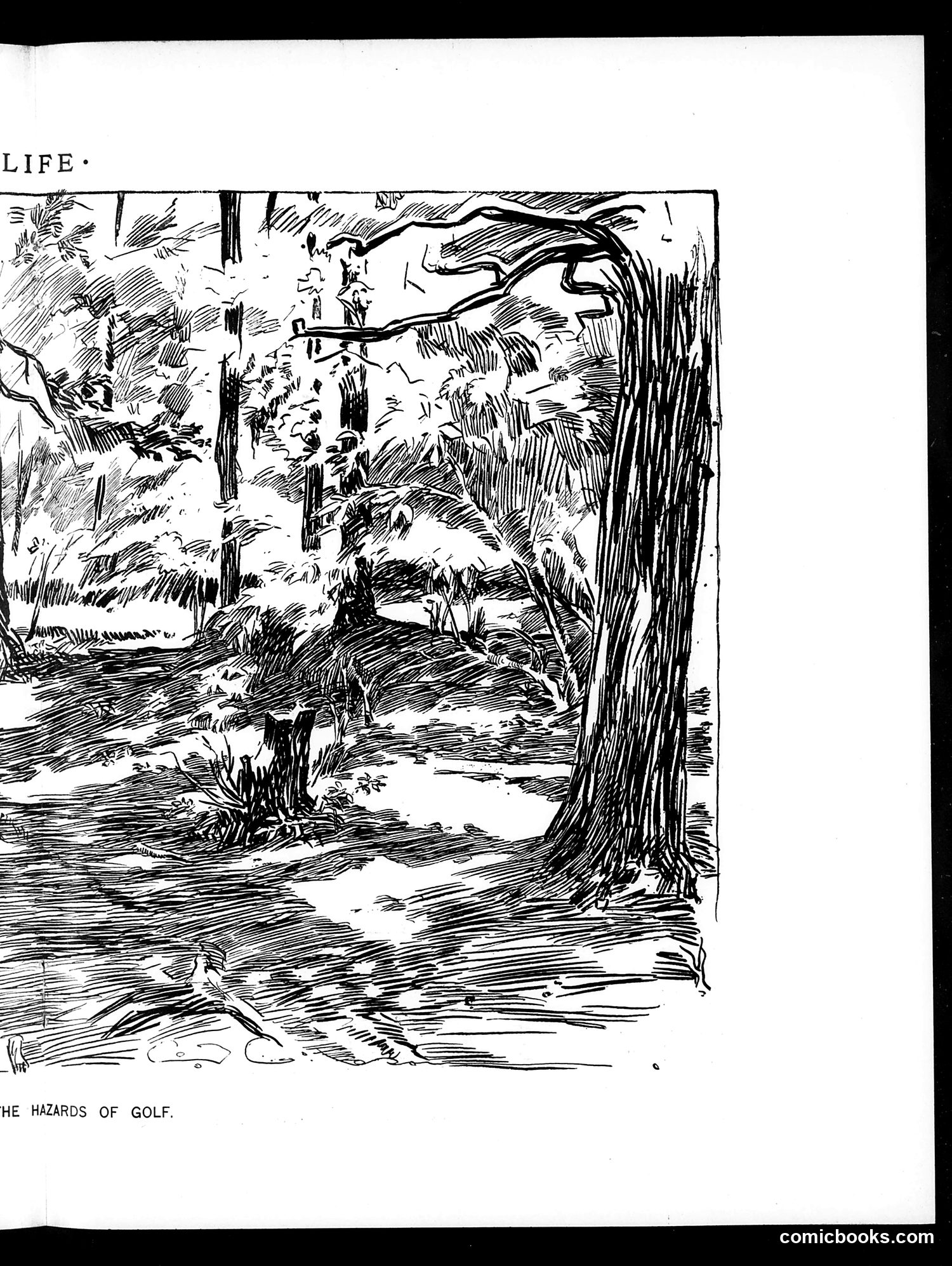 Life — December 2, 1897 — page 11 of 26