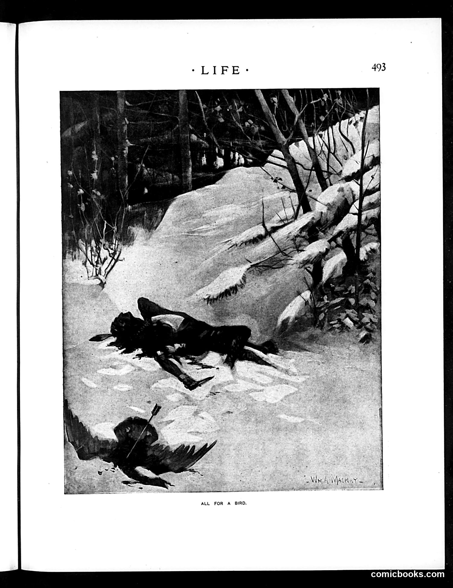 Life — December 4, 1897 — page 17 of 34