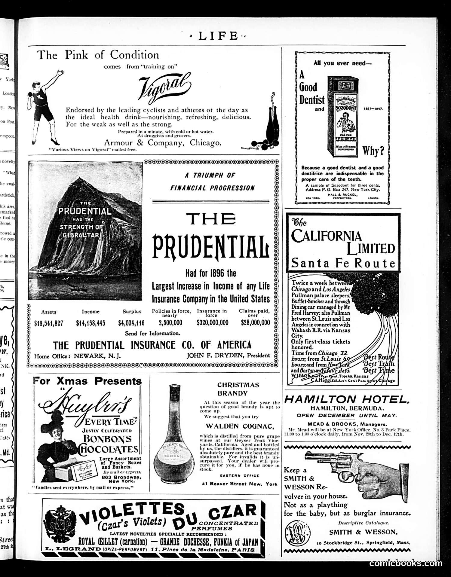Life — December 9, 1897 — page 17 of 20