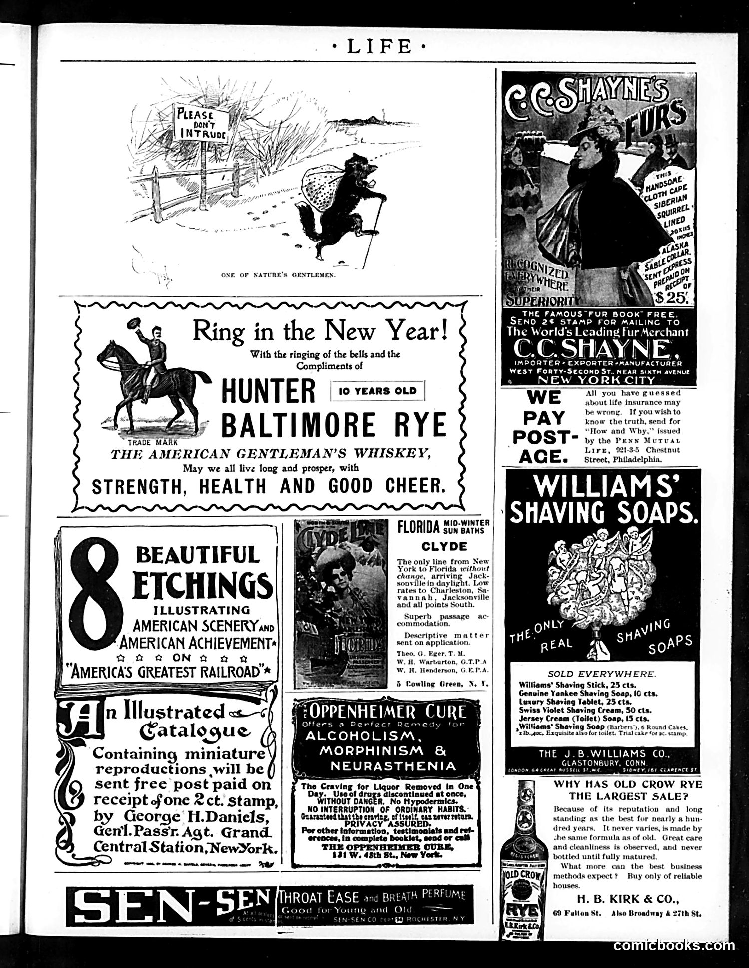 Life — December 30, 1897 — page 19 of 21