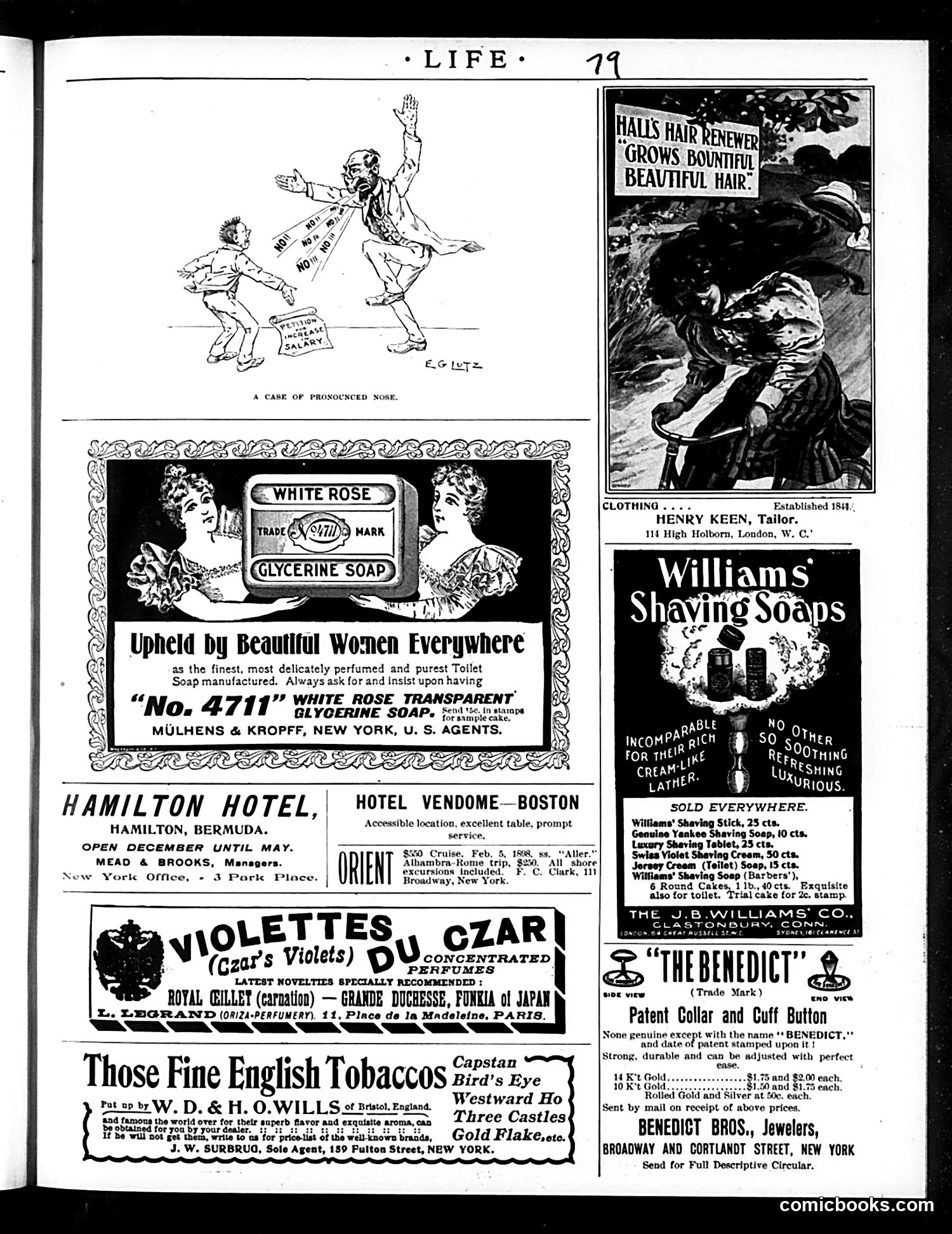 Life — January 27, 1898 — page 19 of 20