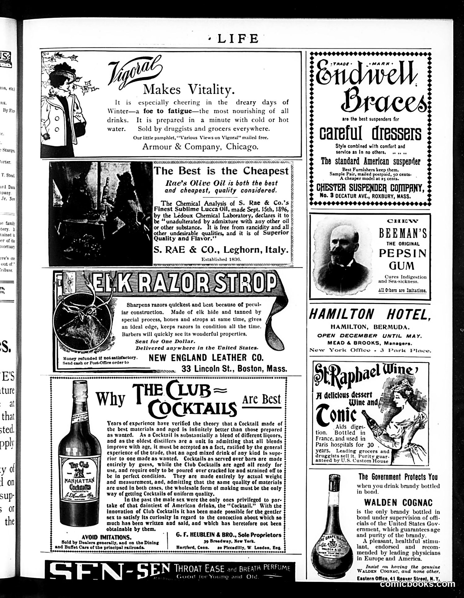 Life — February 3, 1898 — page 17 of 20
