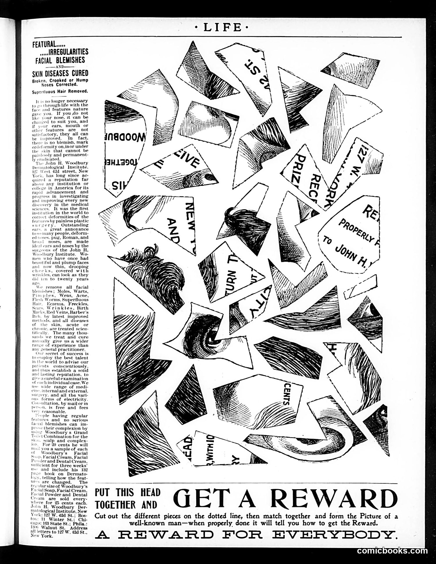 Life — February 3, 1898 — page 19 of 20