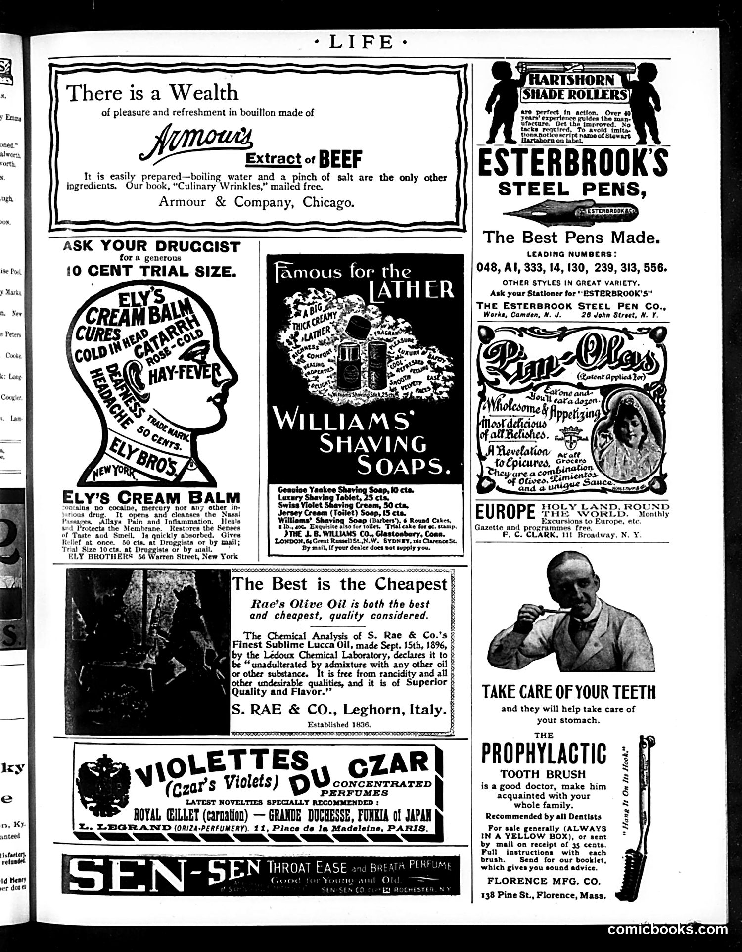 Life — February 24, 1898 — page 17 of 20