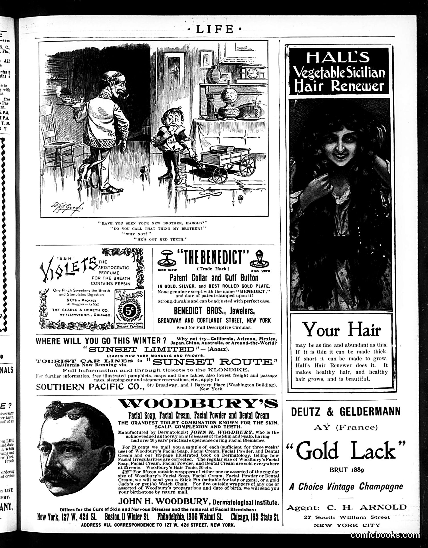 Life — February 24, 1898 — page 19 of 20