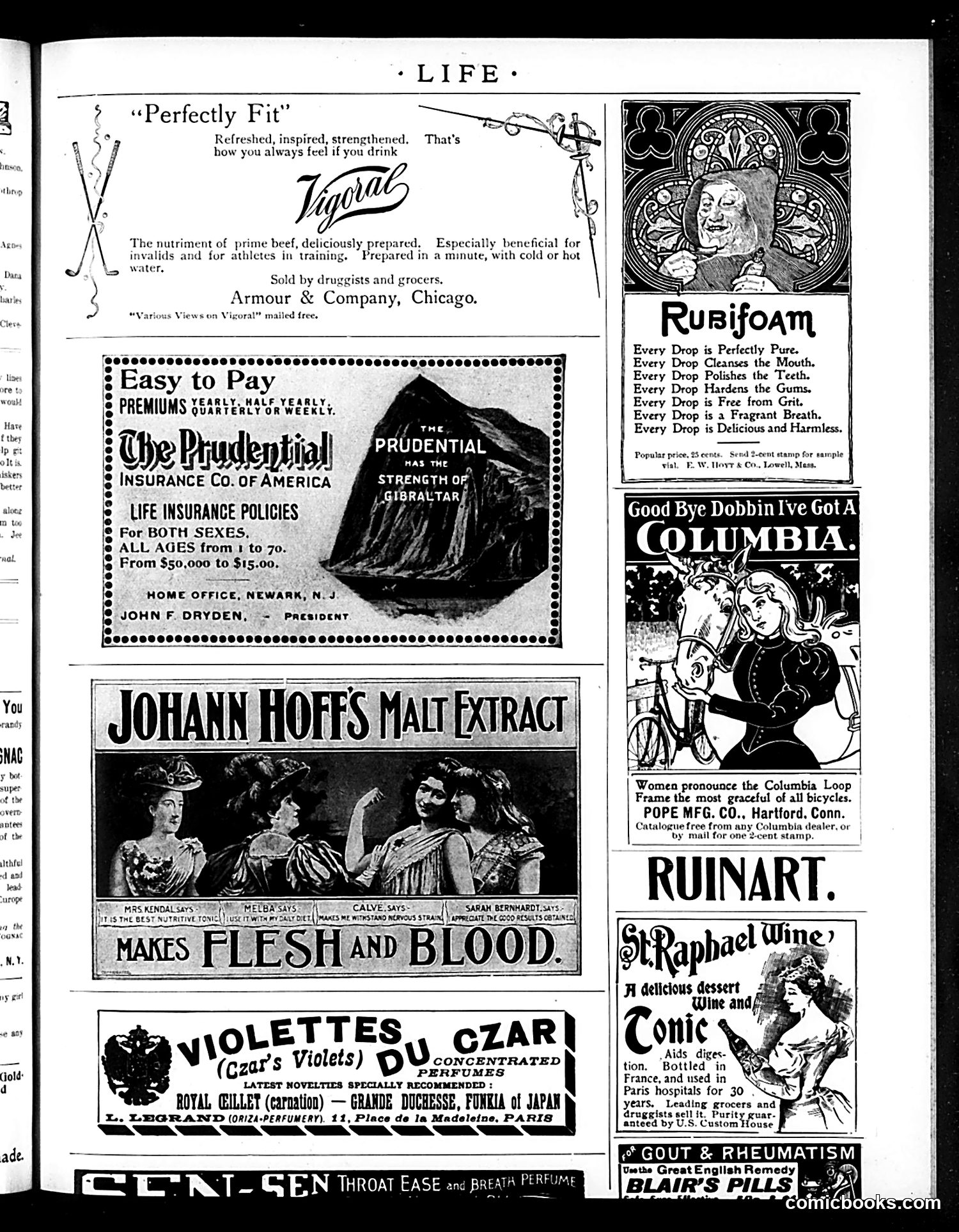 Life — March 17, 1898 — page 17 of 20