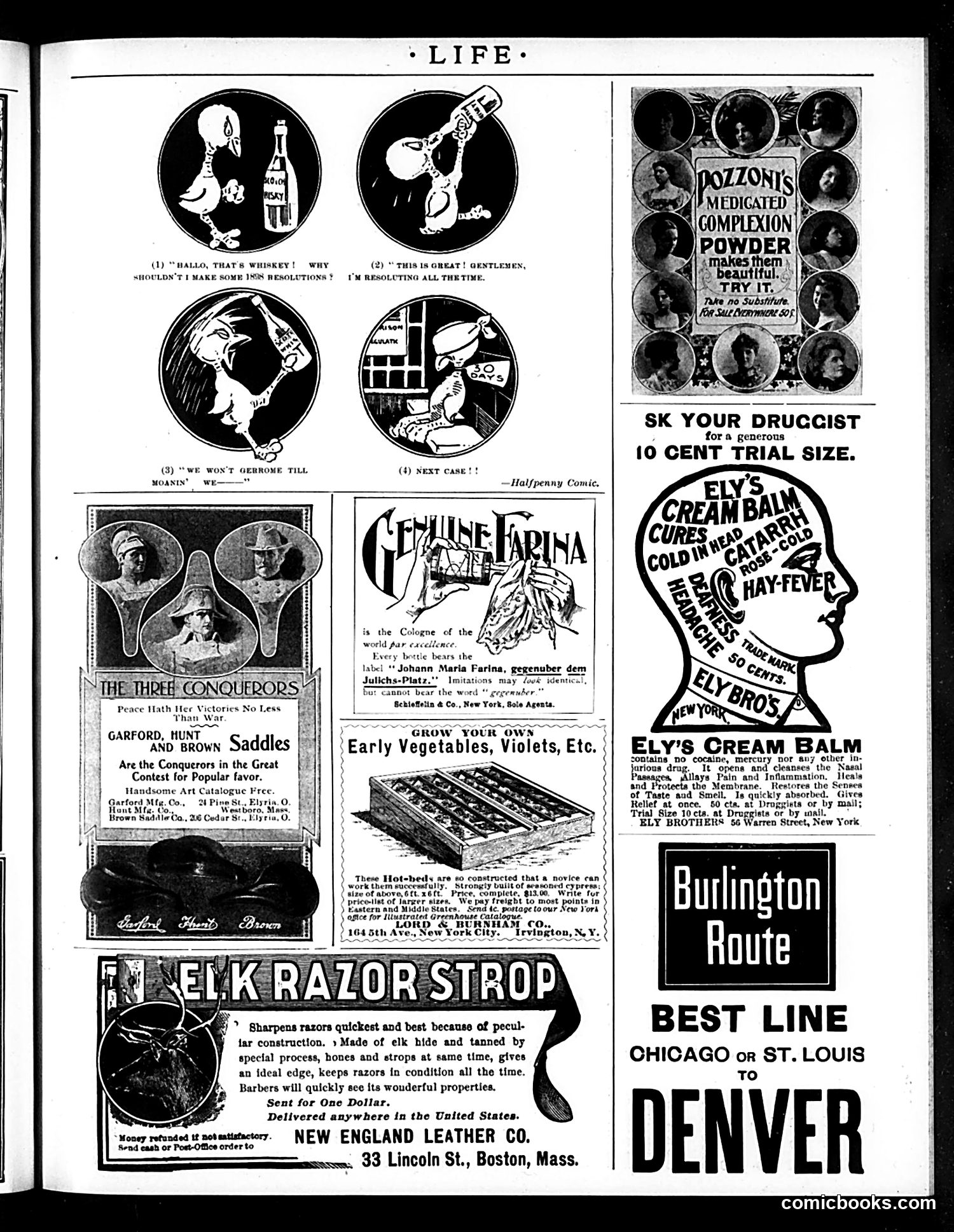 Life — March 17, 1898 — page 19 of 20