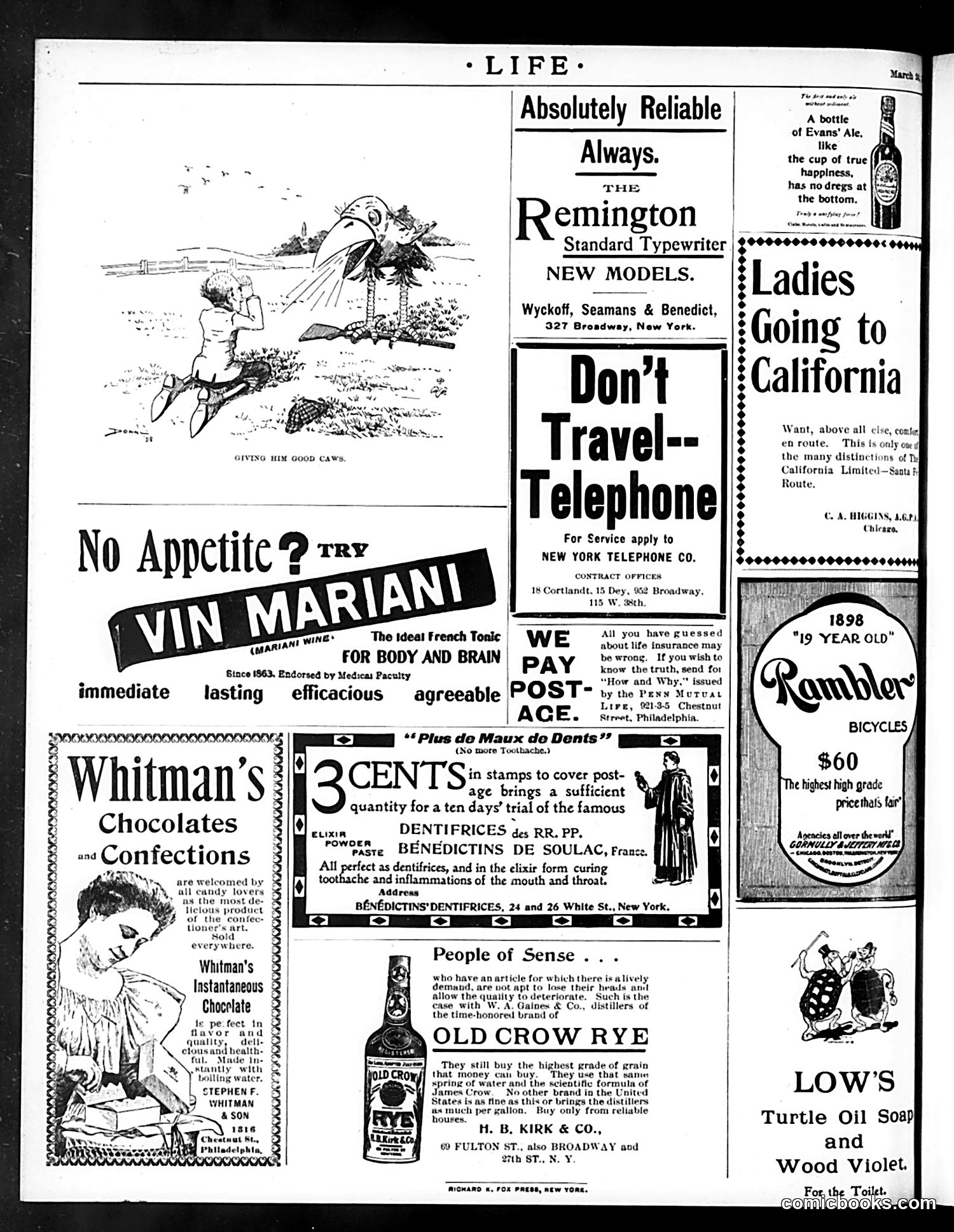 Life — March 24, 1898 — page 20 of 20